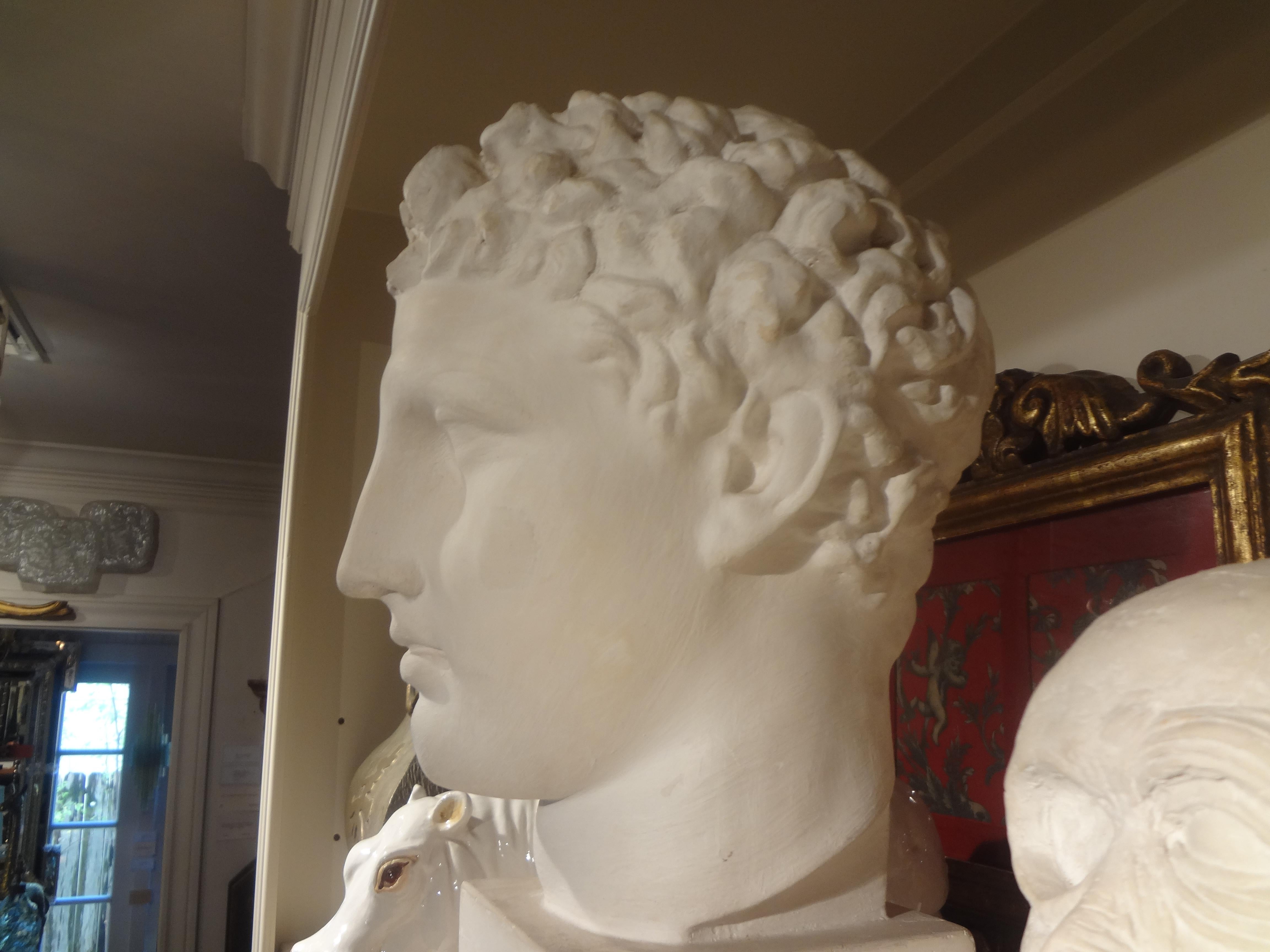 French Plaster Bust of a Classical Roman Male For Sale 1