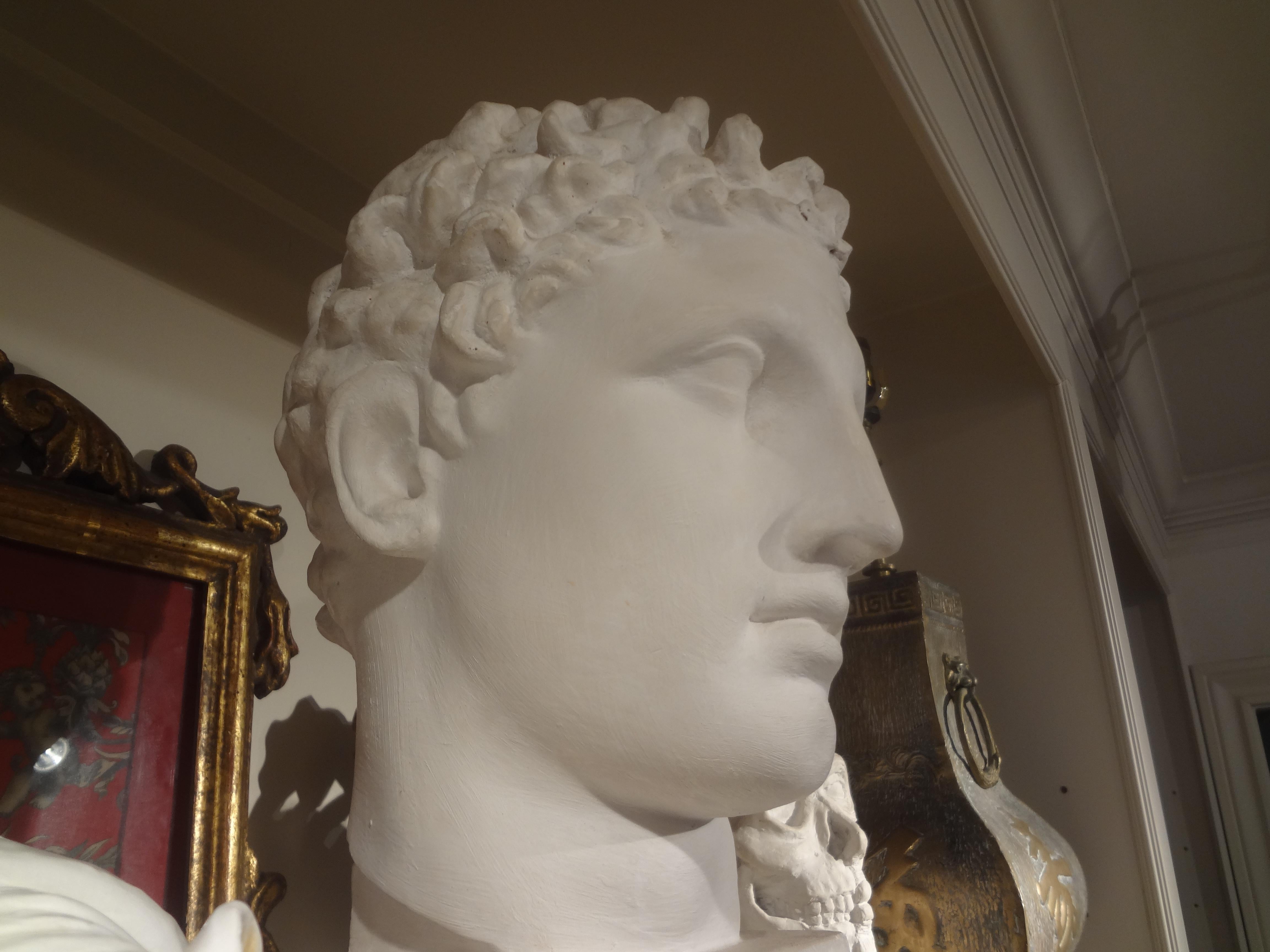 French Plaster Bust of a Classical Roman Male For Sale 2