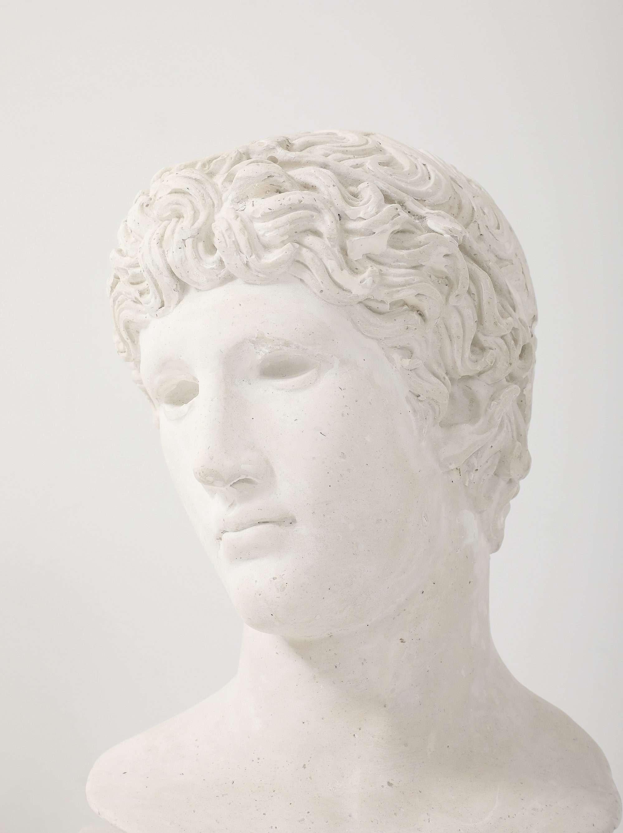 French Plaster Bust of a Classical Youth For Sale 1