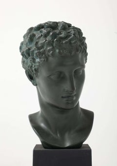French Plaster Dark Hermès Bust
