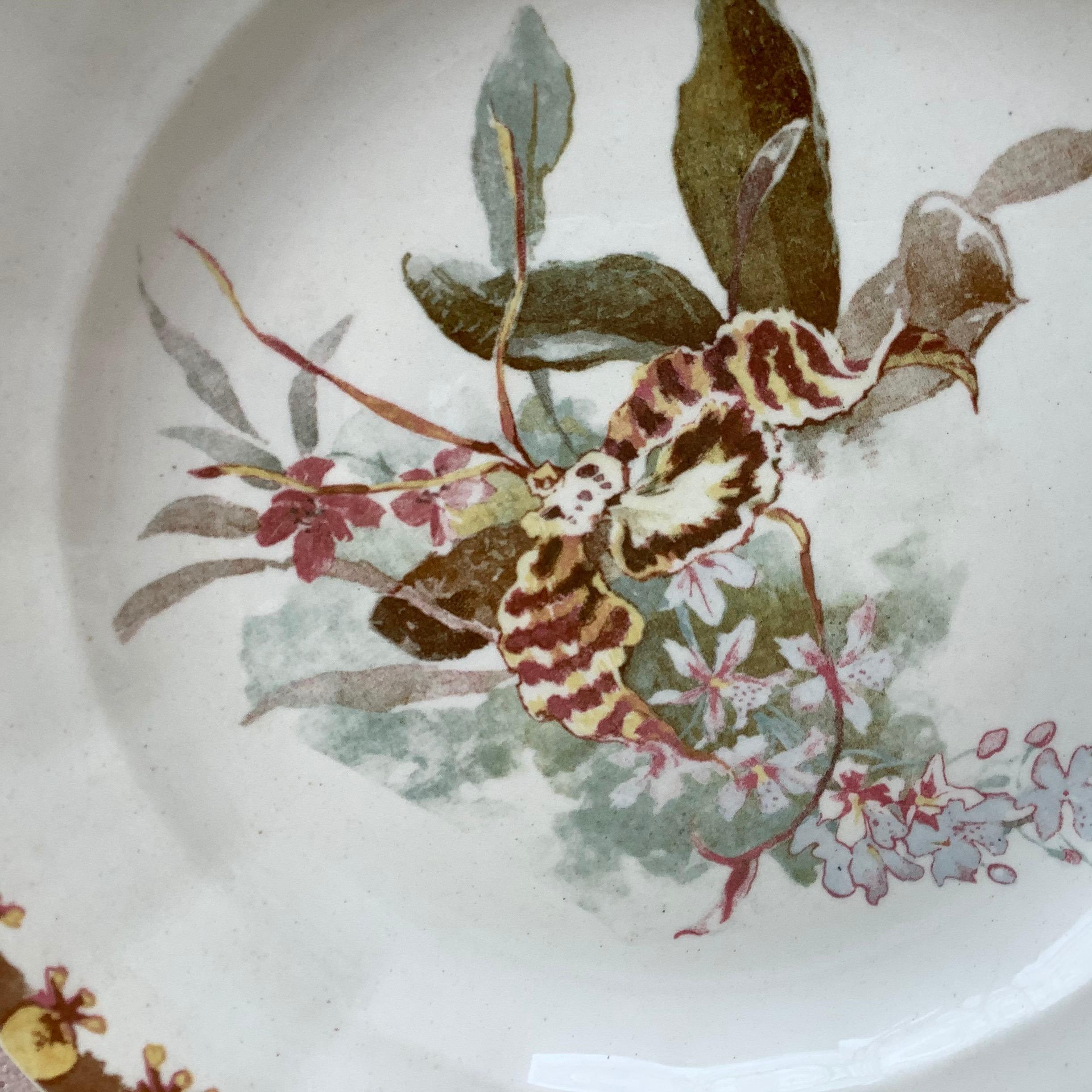 French plate with orchid signed Hippolyte Boulenger Choisy le Roi, circa 1890.
The manufacture of Choisy le Roi was one of the most important manufactures at the end of 19th century, they produced very high quality ceramics of all kinds as Majolica.
