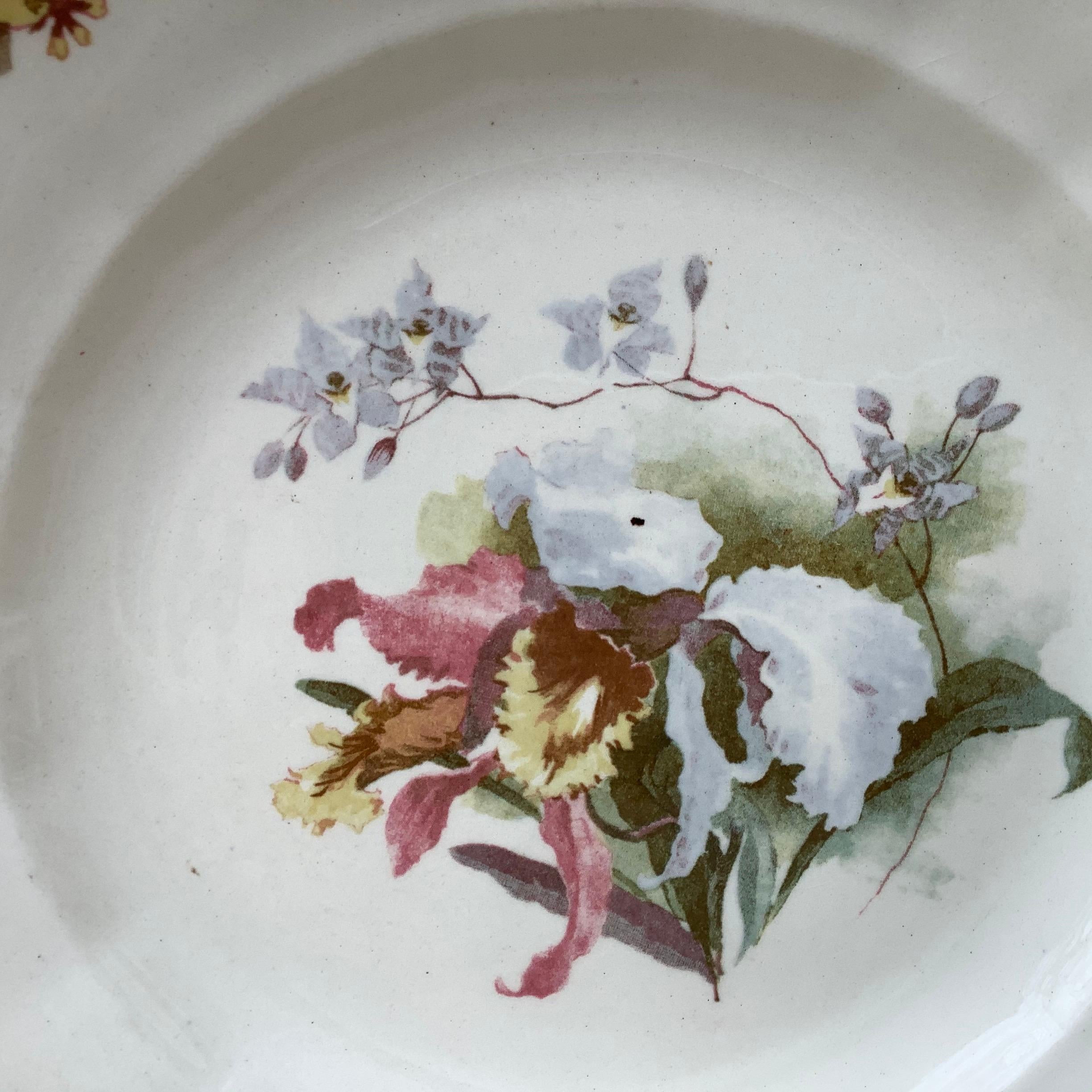 Country French Plate with Orchid Hippolyte Boulenger Choisy le Roi, circa 1890