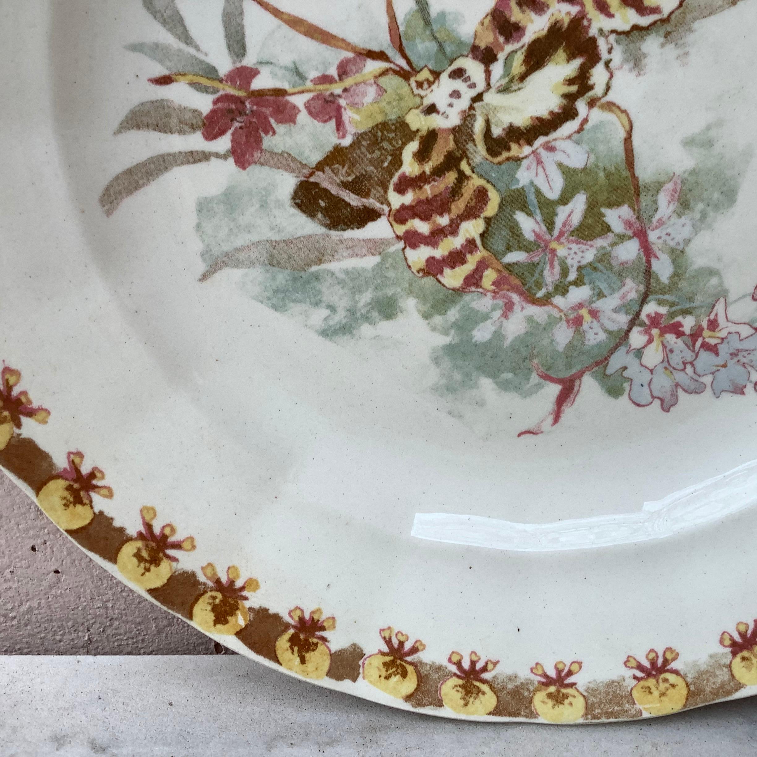 Country French Plate with Orchid Hippolyte Boulenger Choisy le Roi, circa 1890 For Sale