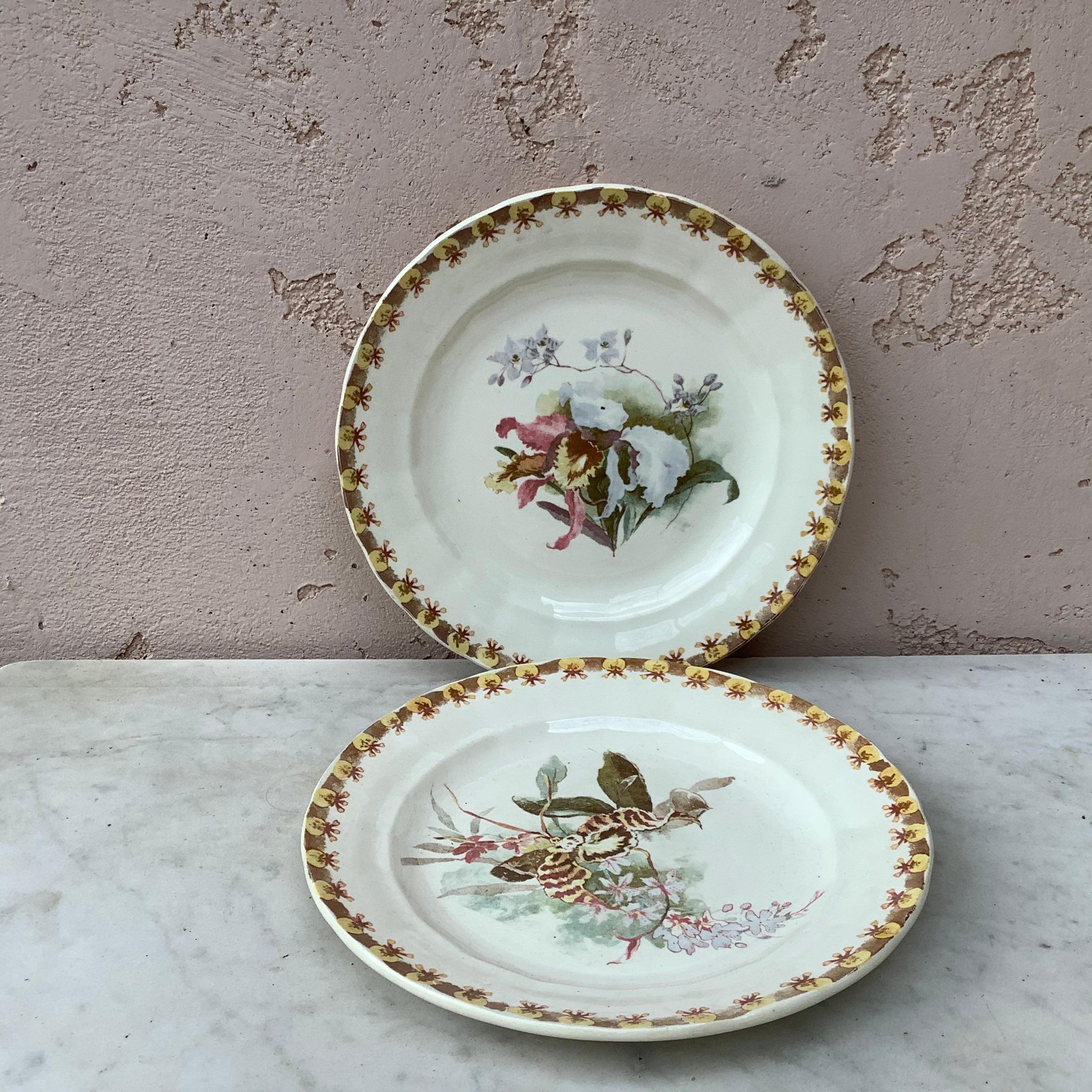 Late 19th Century French Plate with Orchid Hippolyte Boulenger Choisy le Roi, circa 1890 For Sale