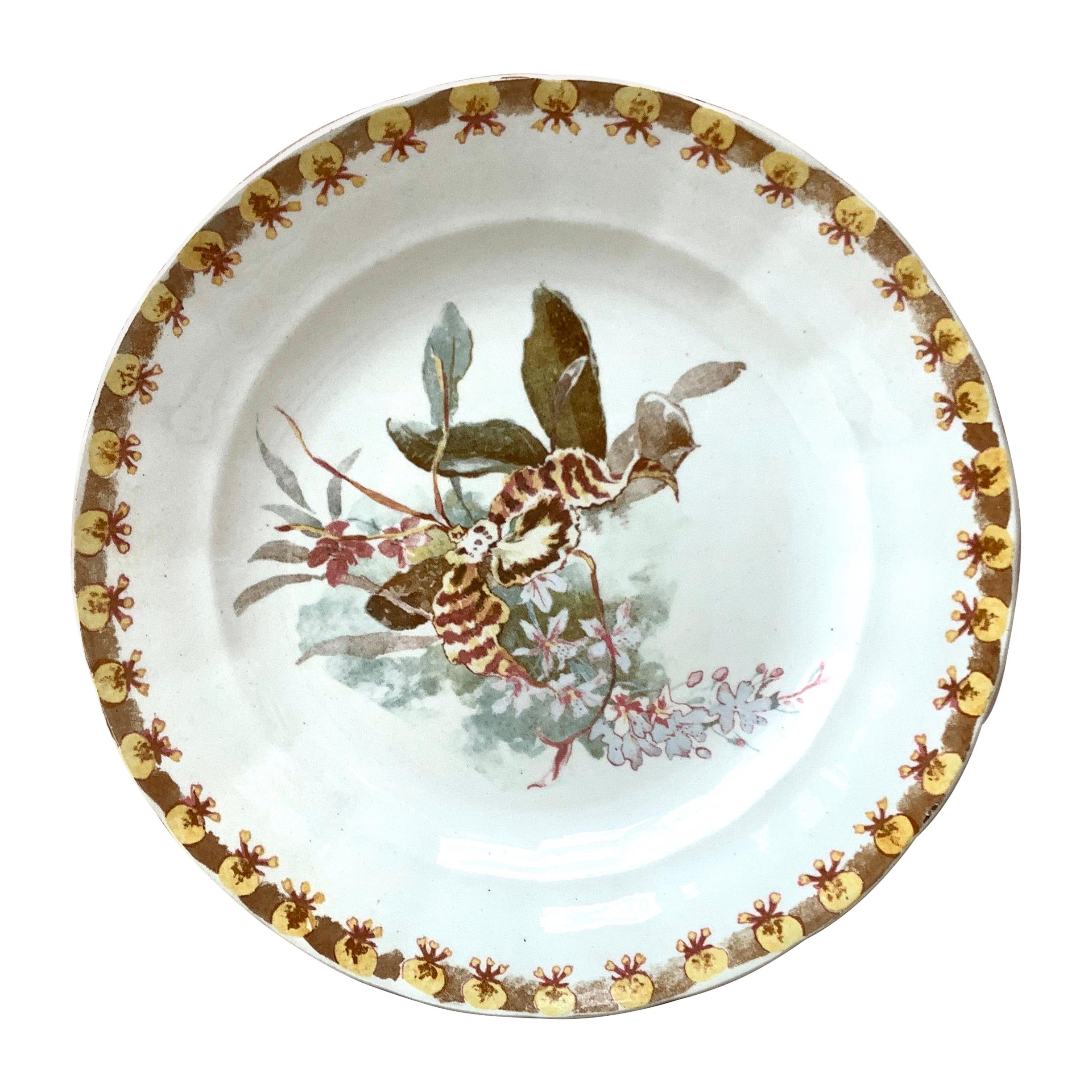French Plate with Orchid Hippolyte Boulenger Choisy le Roi, circa 1890