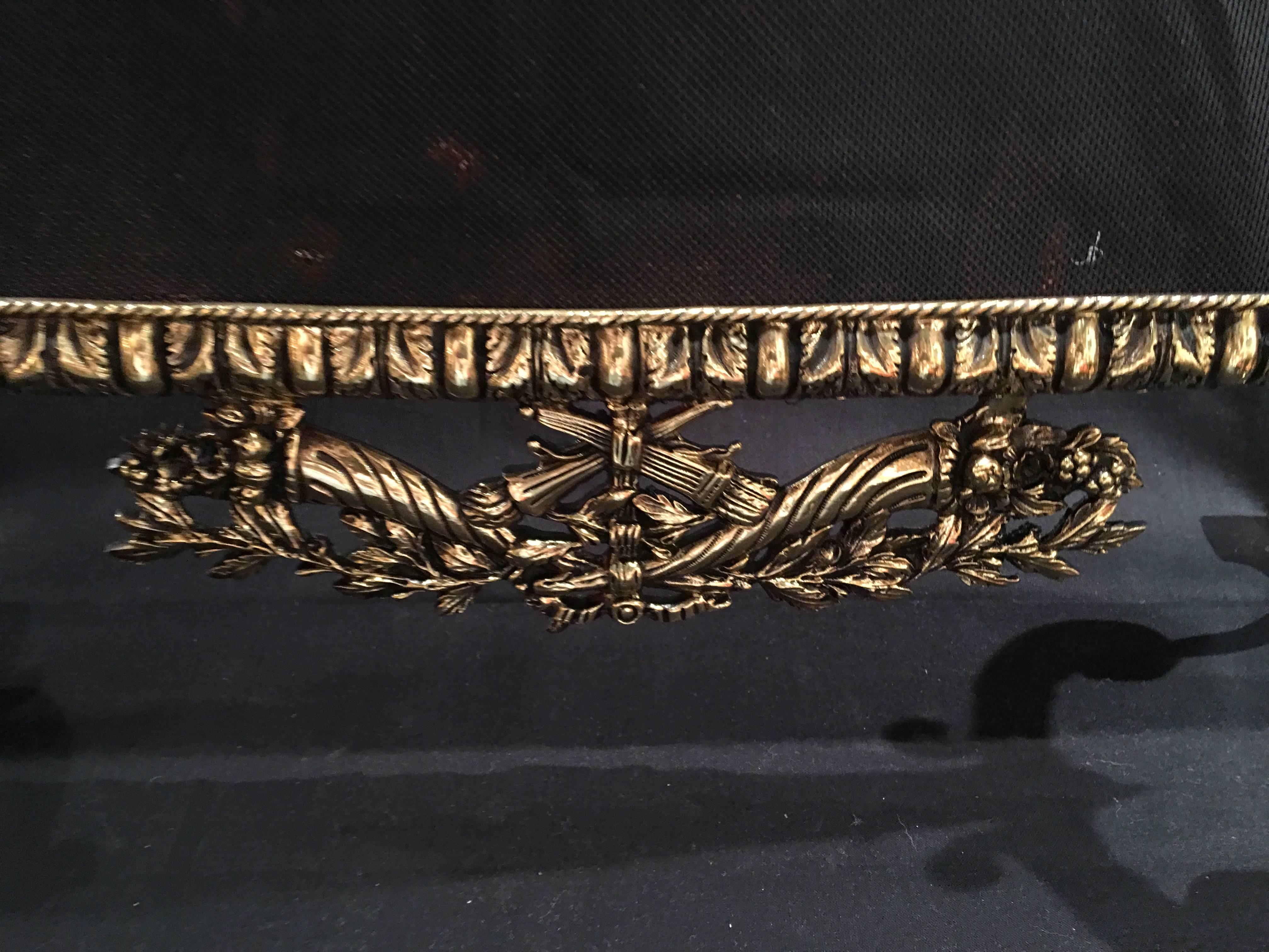 French Polished Brass Fireplace Screen with Decorative Bow, 19th Century 3