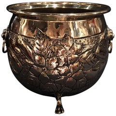 French Polished Brass Jardiniere Container Lion Head Ring Handles, 19th Century