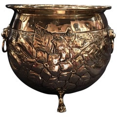 French Polished Brass Jardiniere Container Lion Head Ring Handles, 19th Century