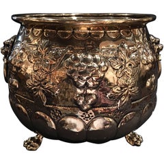 Jardinière o contenitore francese in ottone lucido, manici ad anello di leone, XIX secolo