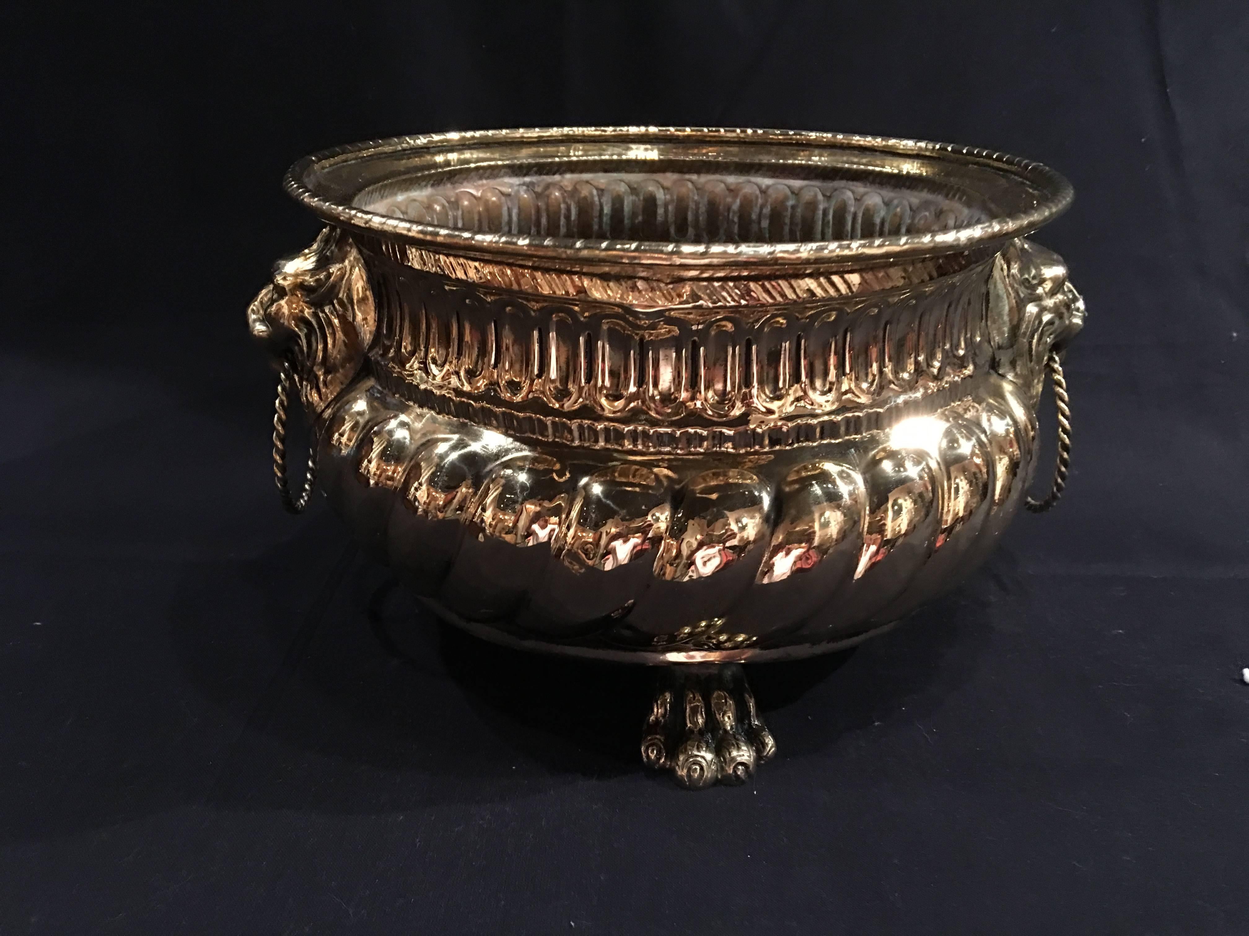 French polished brass jardinière or container with lion handles, 19th century.