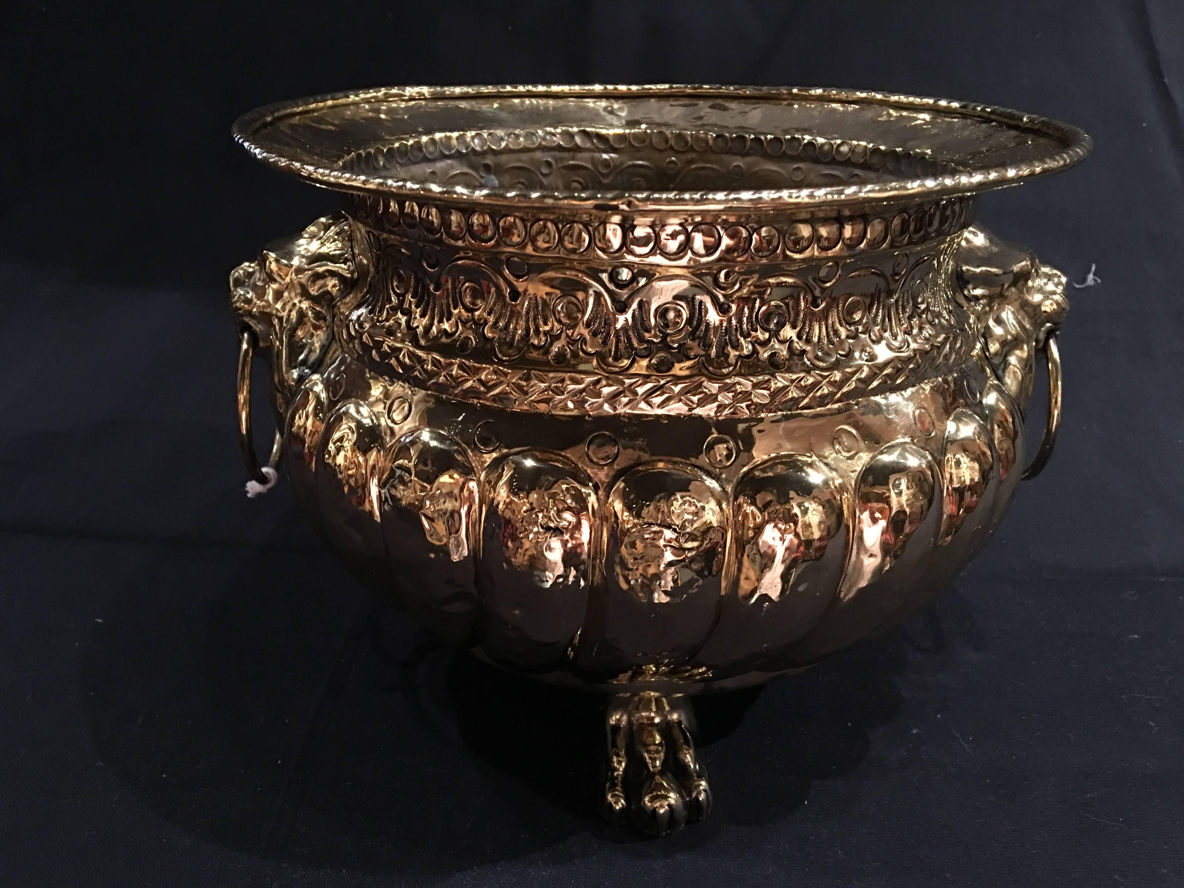 French polished brass jardinière with lion ring handles, 19th century.