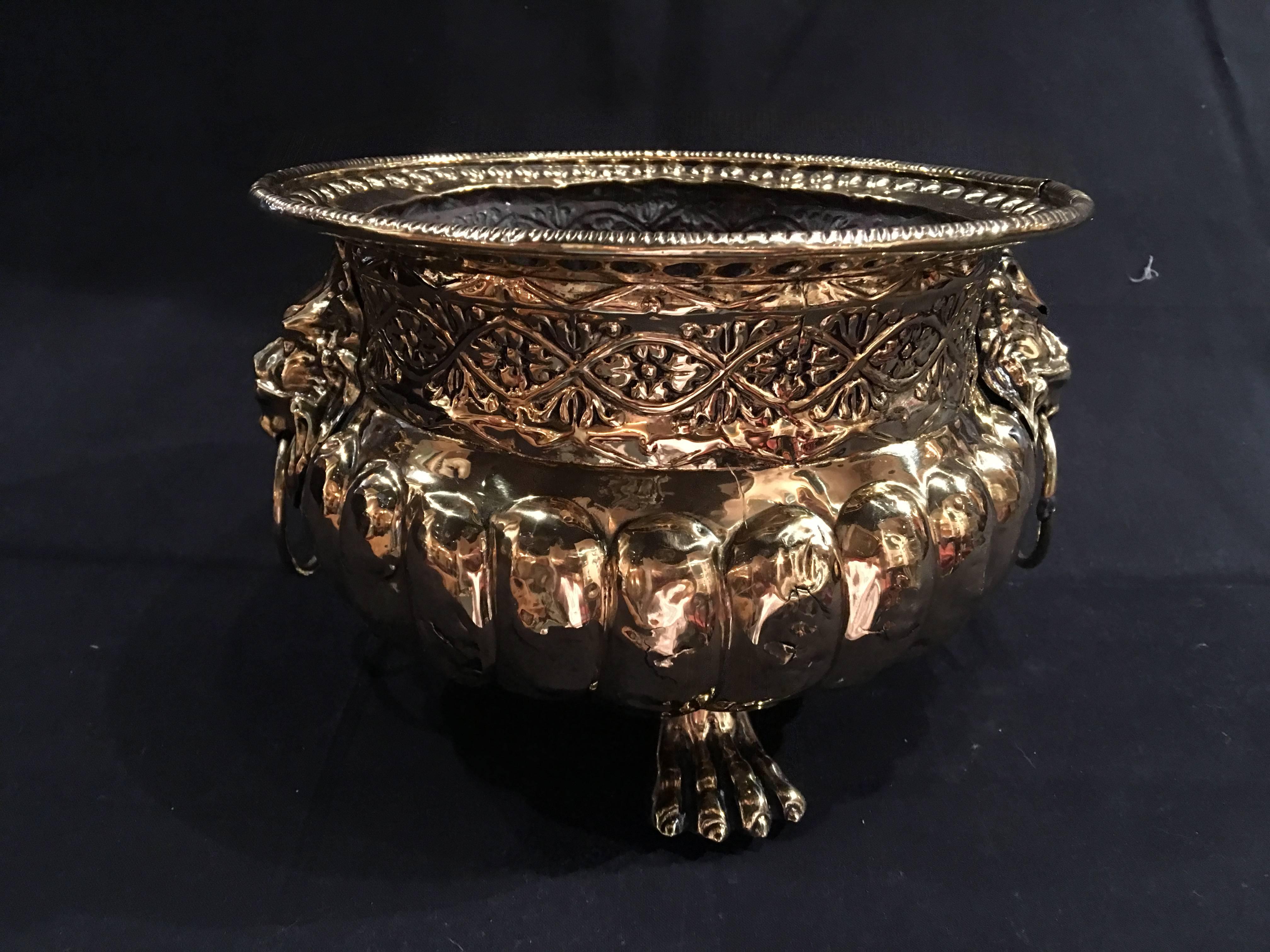 French polished brass jardiniere with lion ring handles, 19th century.