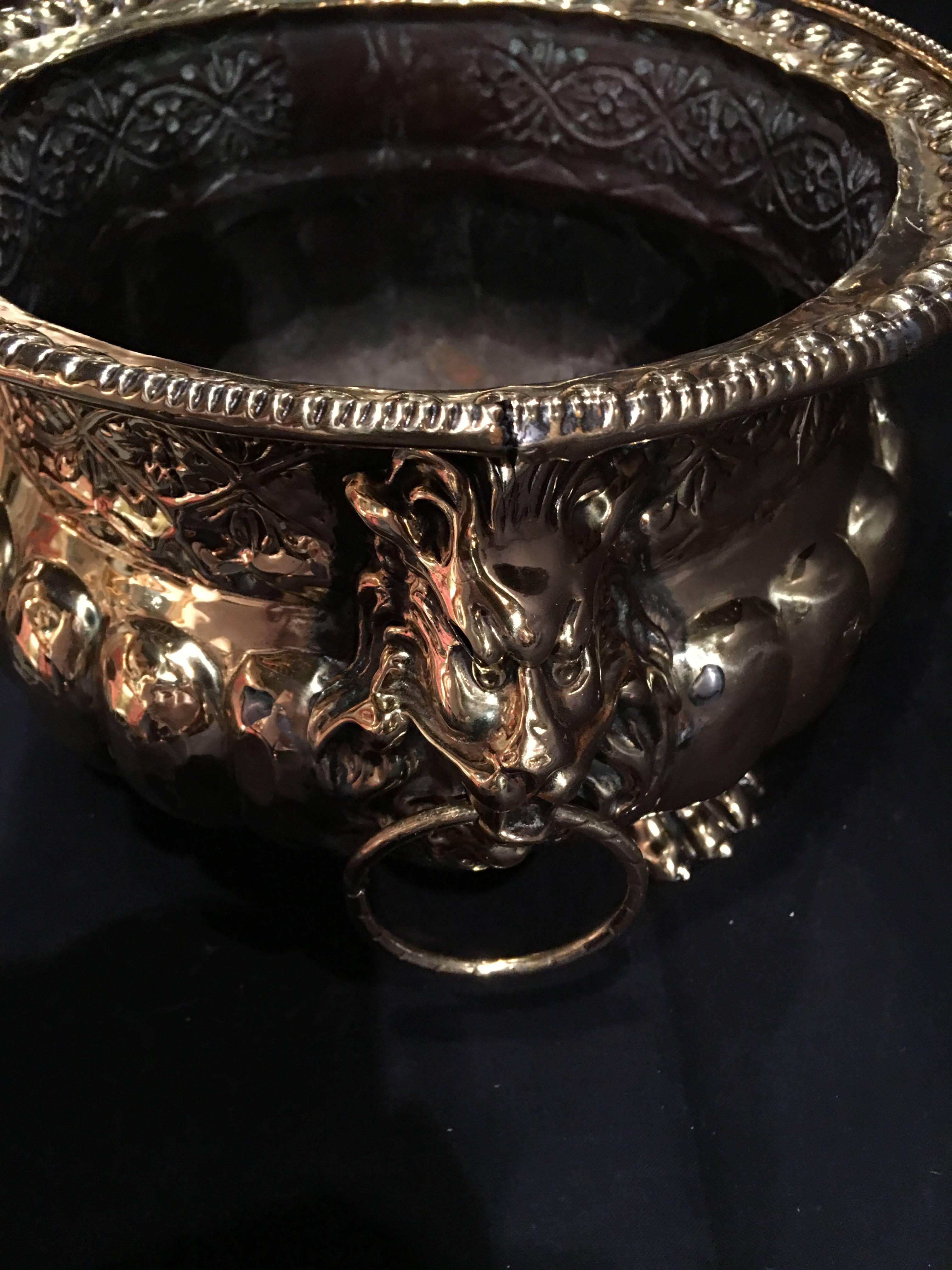 French Polished Brass Jardiniere with Lion Ring Handles, 19th Century 1