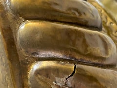 French Polished Brass Jardiniere with lions Ring Handles, 19th Century