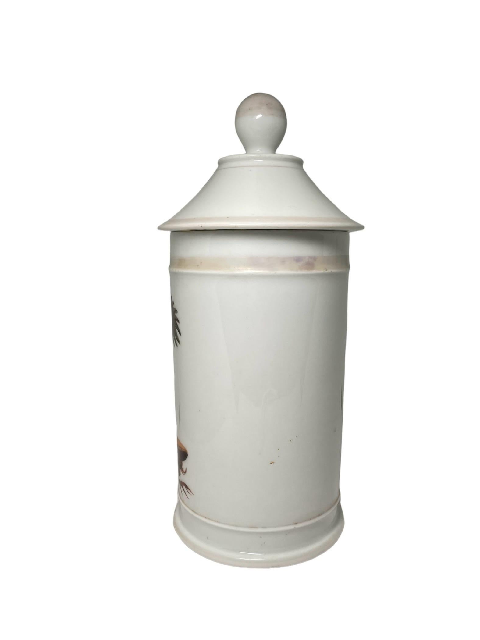 Neoclassico Vaso da farmacia in porcellana francese in vendita