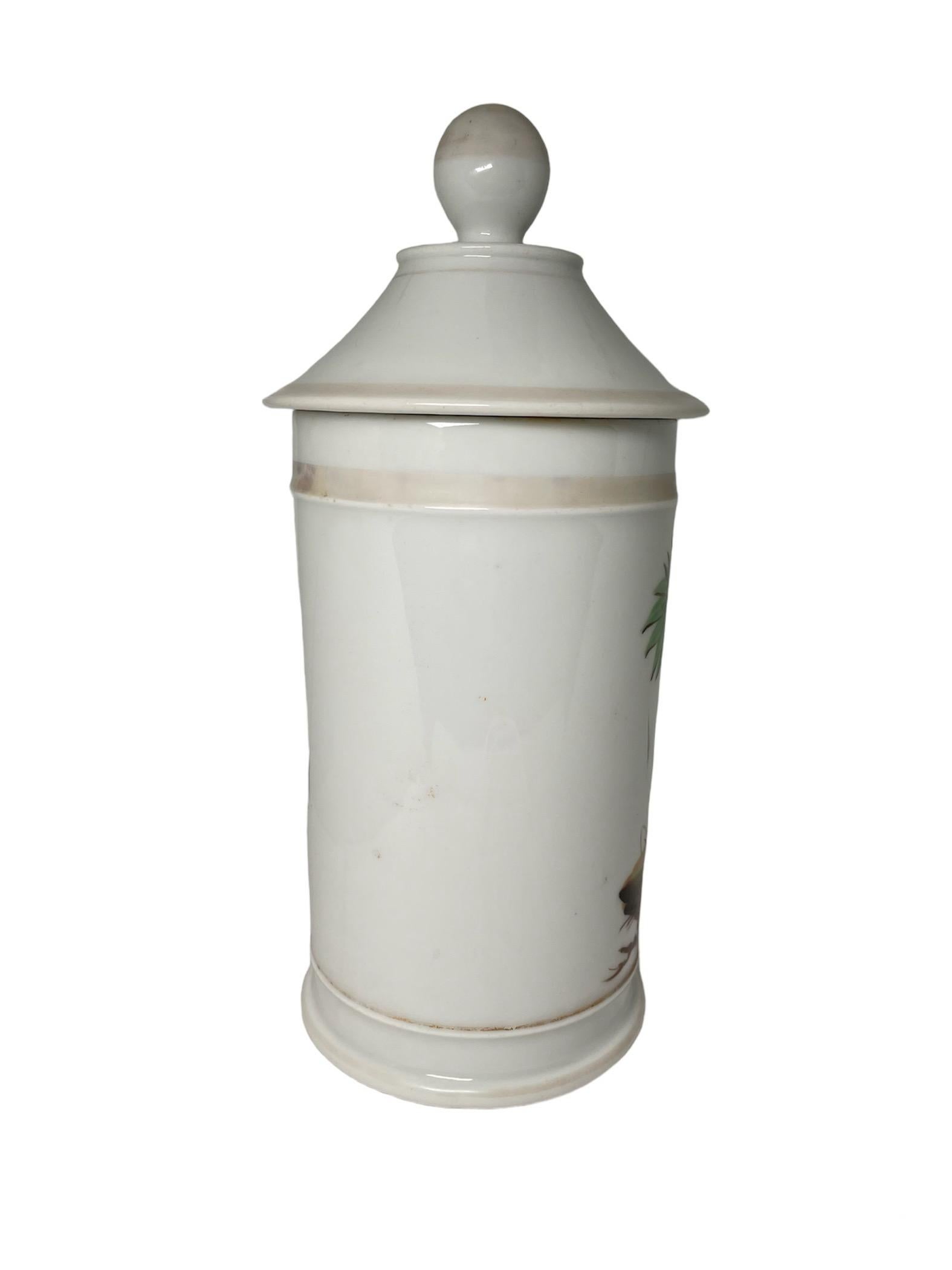 Francese Vaso da farmacia in porcellana francese in vendita