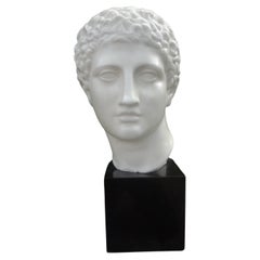 French, Porcelain Bust of Classical Male