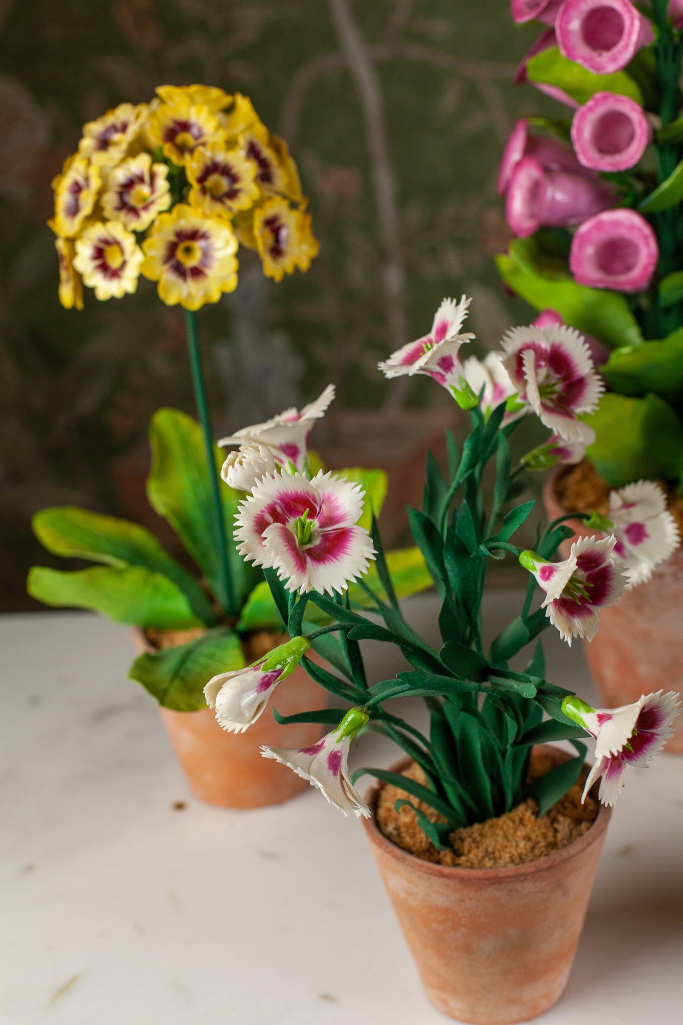 European French Porcelain Dianthus