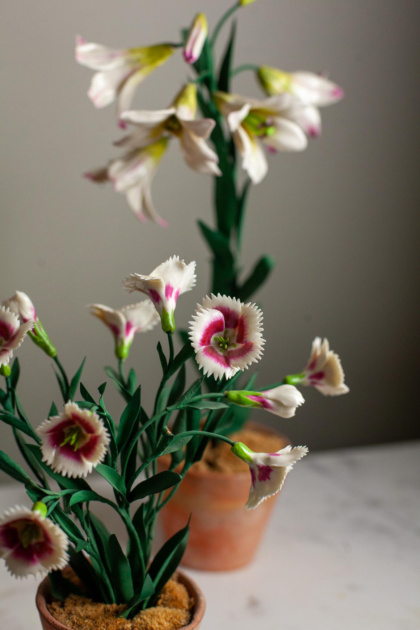 French Porcelain Dianthus 1