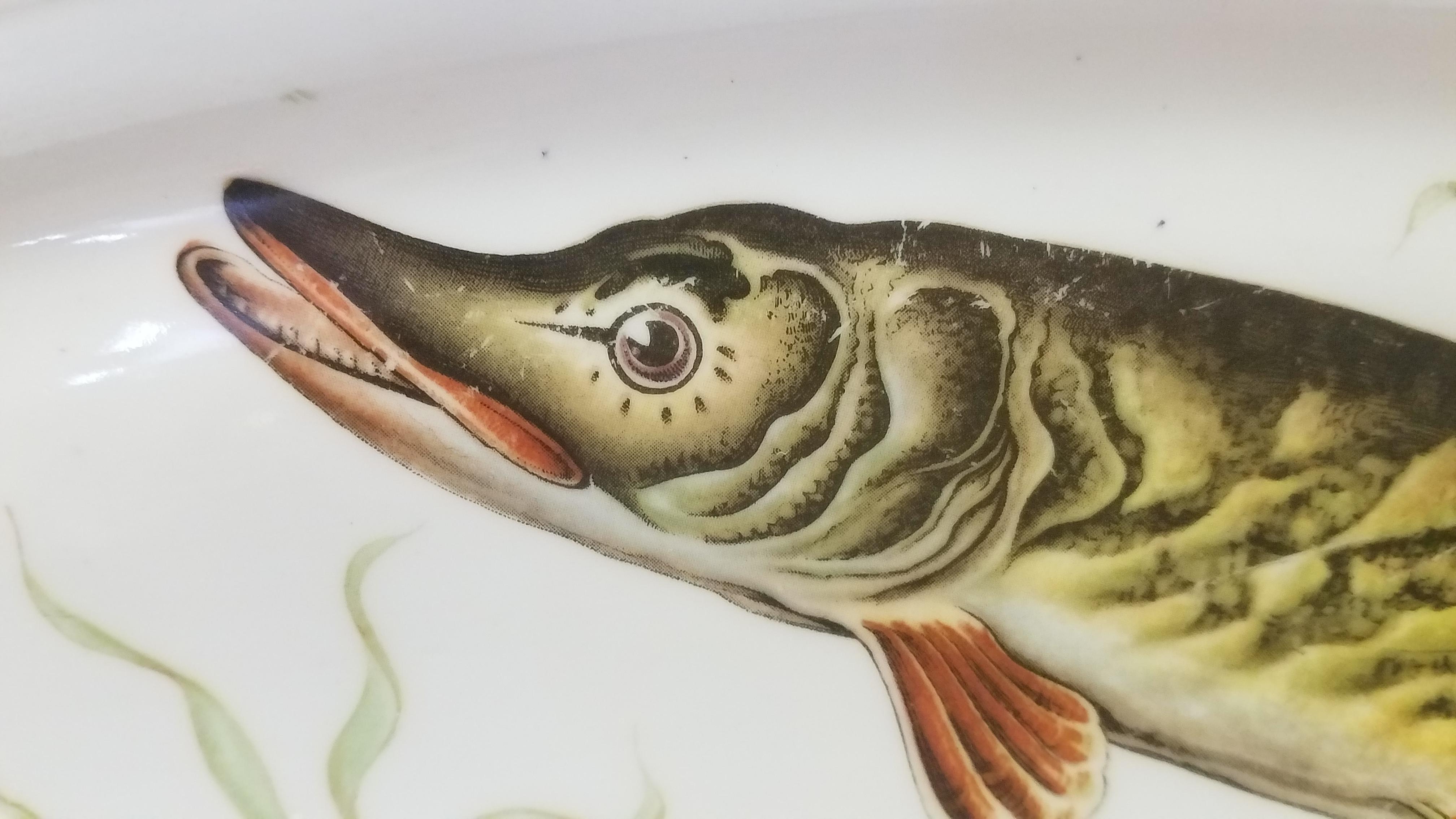 French Porcelain Fish Platter In Good Condition For Sale In Livingston, NJ