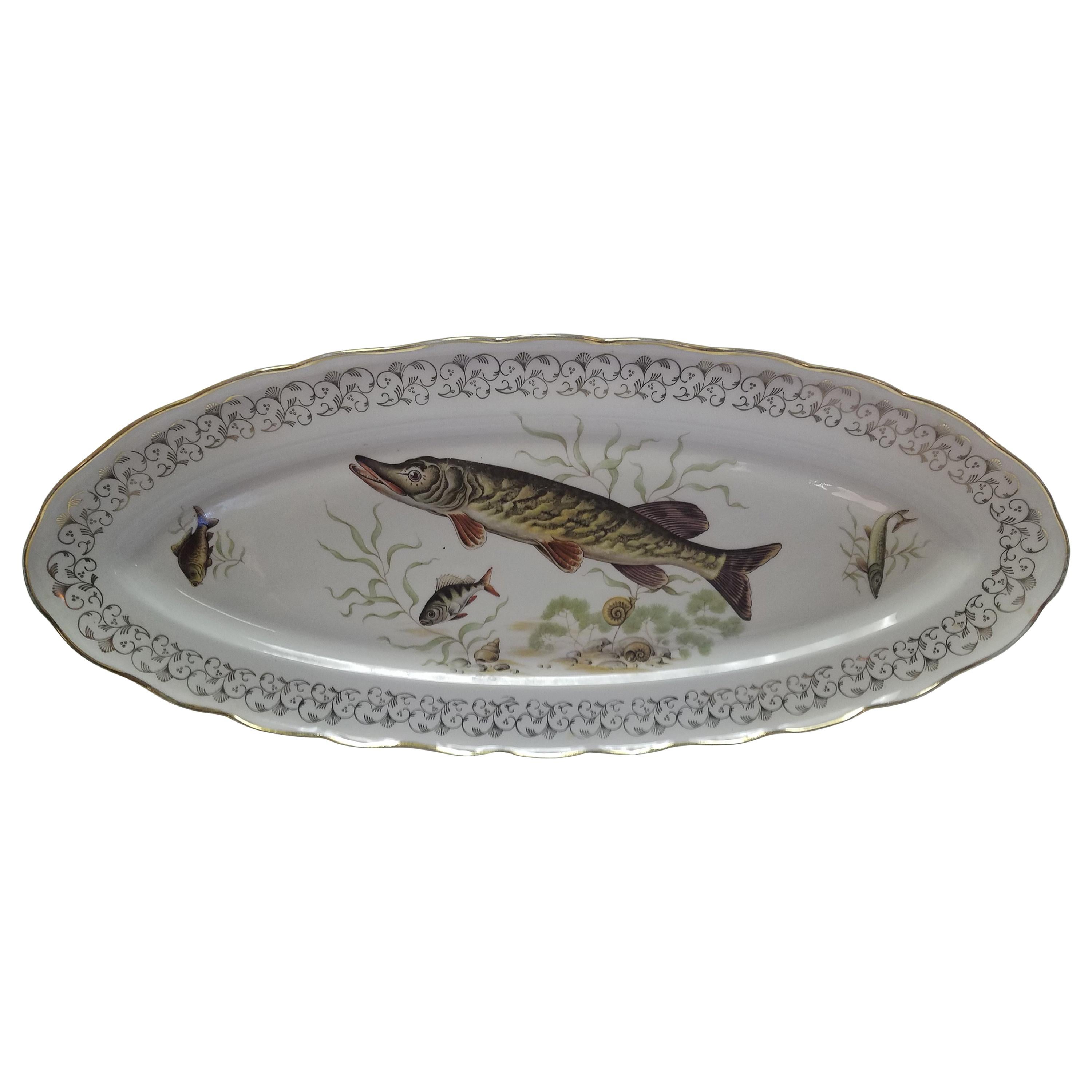French Porcelain Fish Platter For Sale