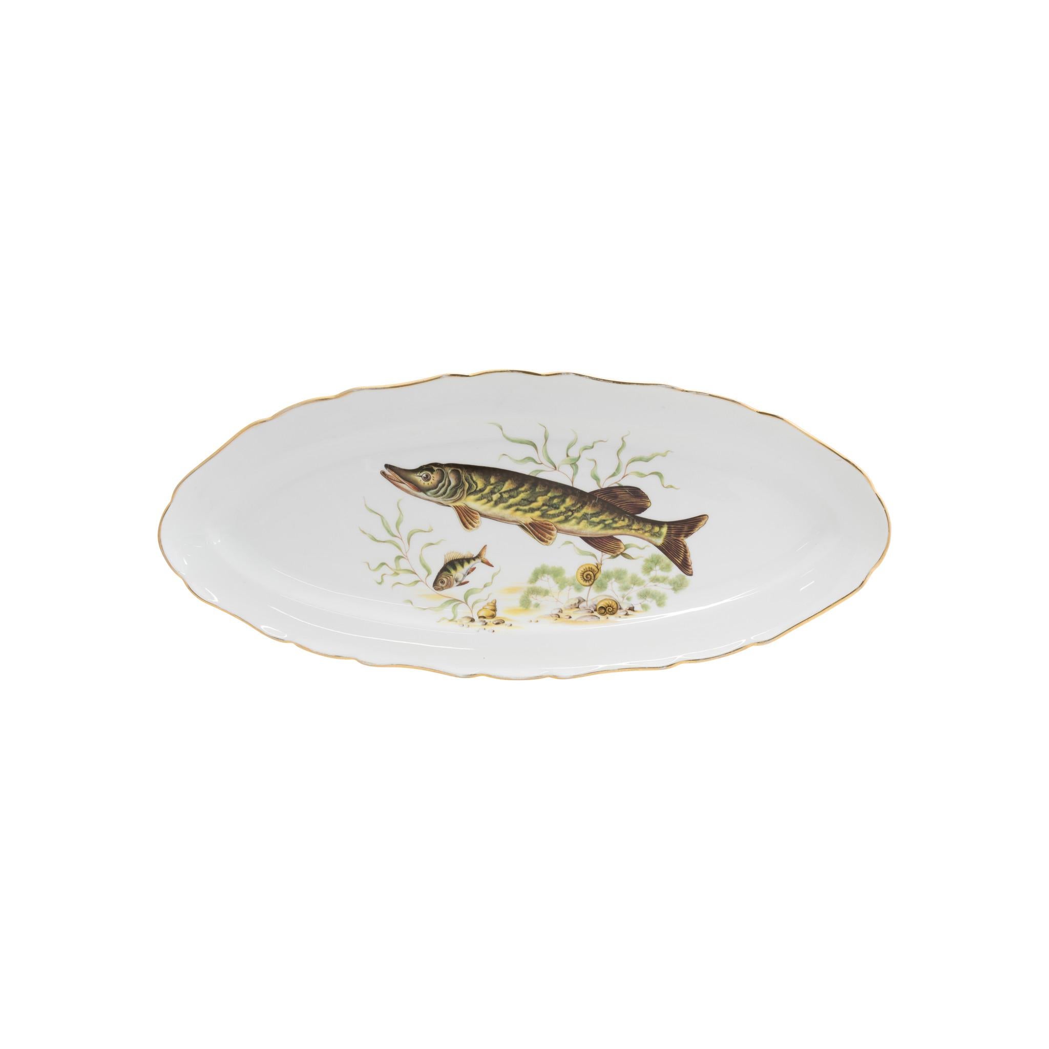 Set of 13 French porcelain fish service, M&S, including one serving platter, and 12 plates (one with a small chip at rim). Each plate featuring a different fish, all with slightly scalloped gold trimmed rim. Lovely set that would complement a rustic