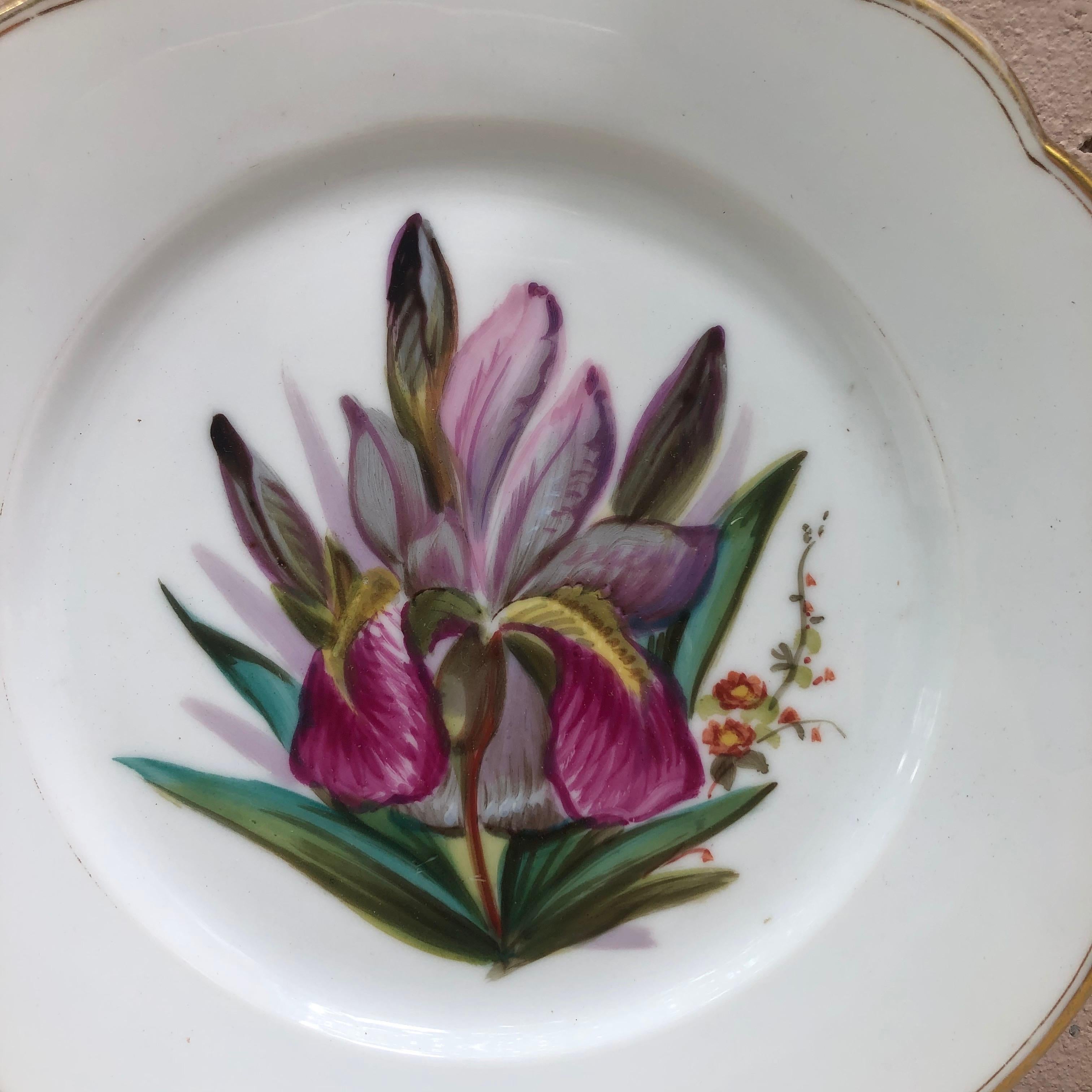 French porcelain purple iris plate, circa 1850.