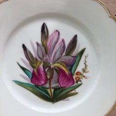 French Porcelain Purple Iris Plate, circa 1850