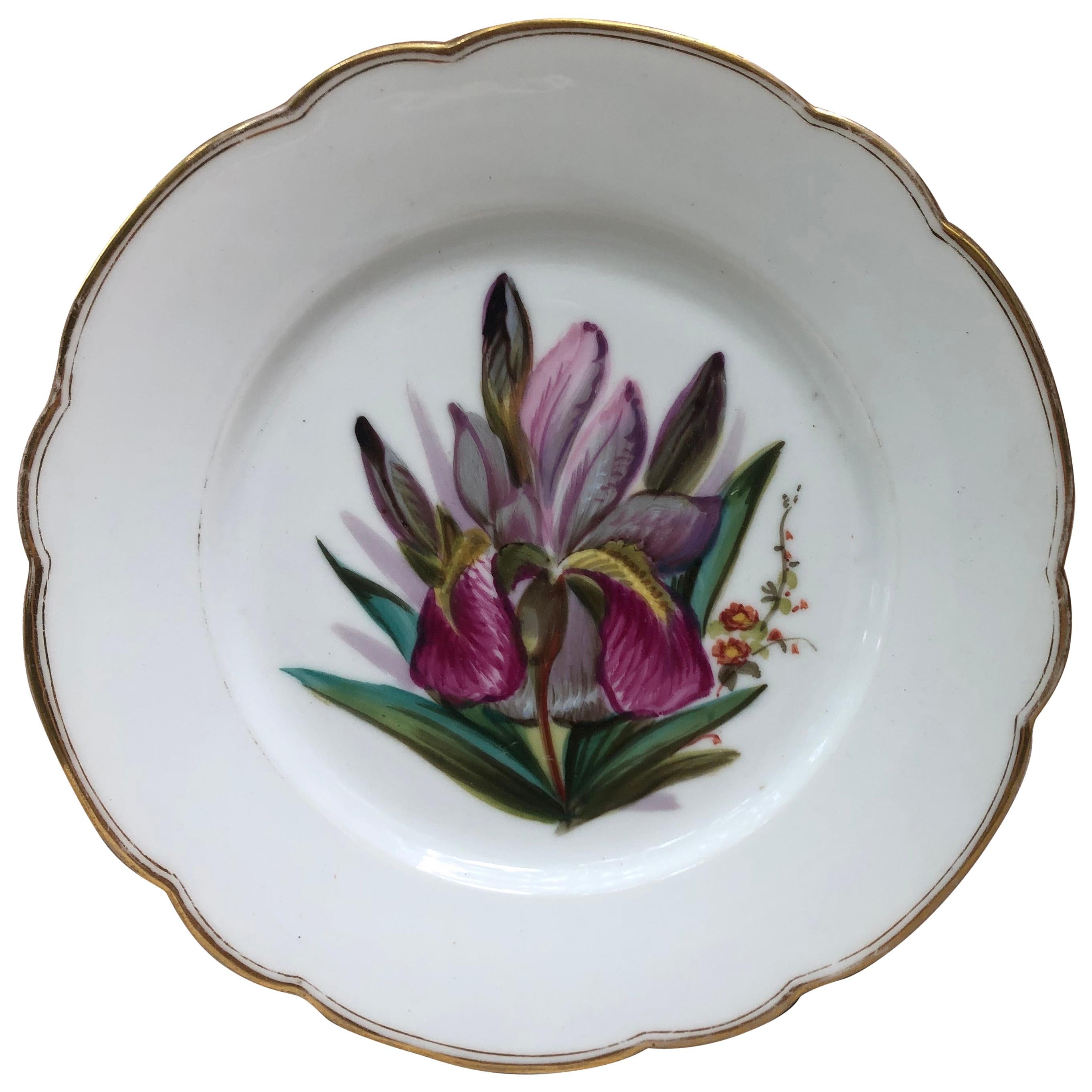 French Porcelain Purple Iris Plate, circa 1850 For Sale