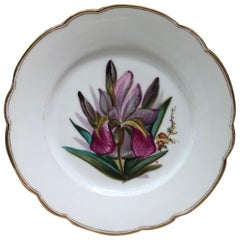 French Porcelain Purple Iris Plate, circa 1850