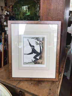 French Print of Monkey Engraving "Le Coaita" by Jacques de Seve, circa 1819