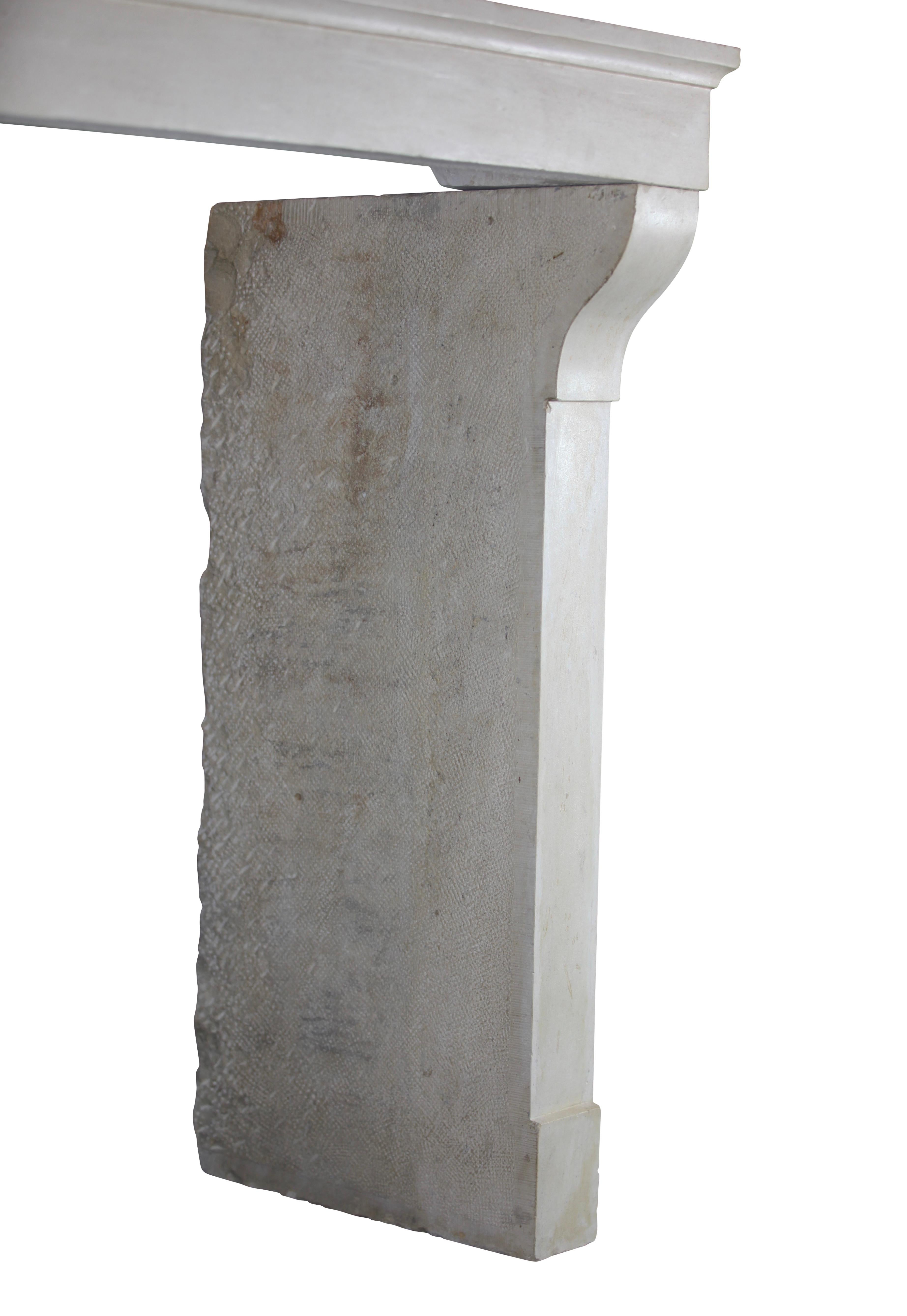 Revestimiento de chimenea francés provenzal de piedra blanca Luis XIII en venta 3