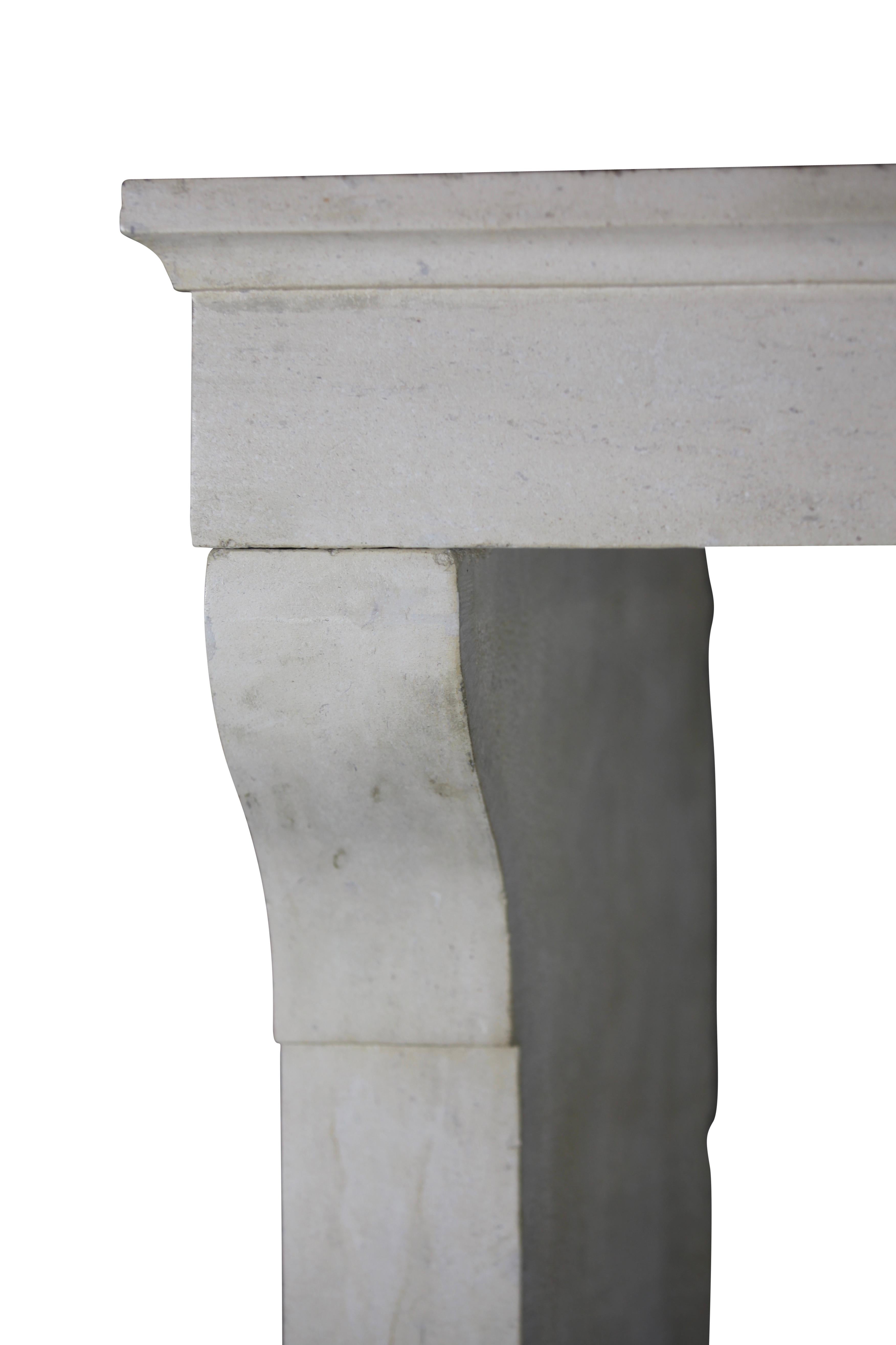 Revestimiento de chimenea francés provenzal de piedra blanca Luis XIII en venta 10