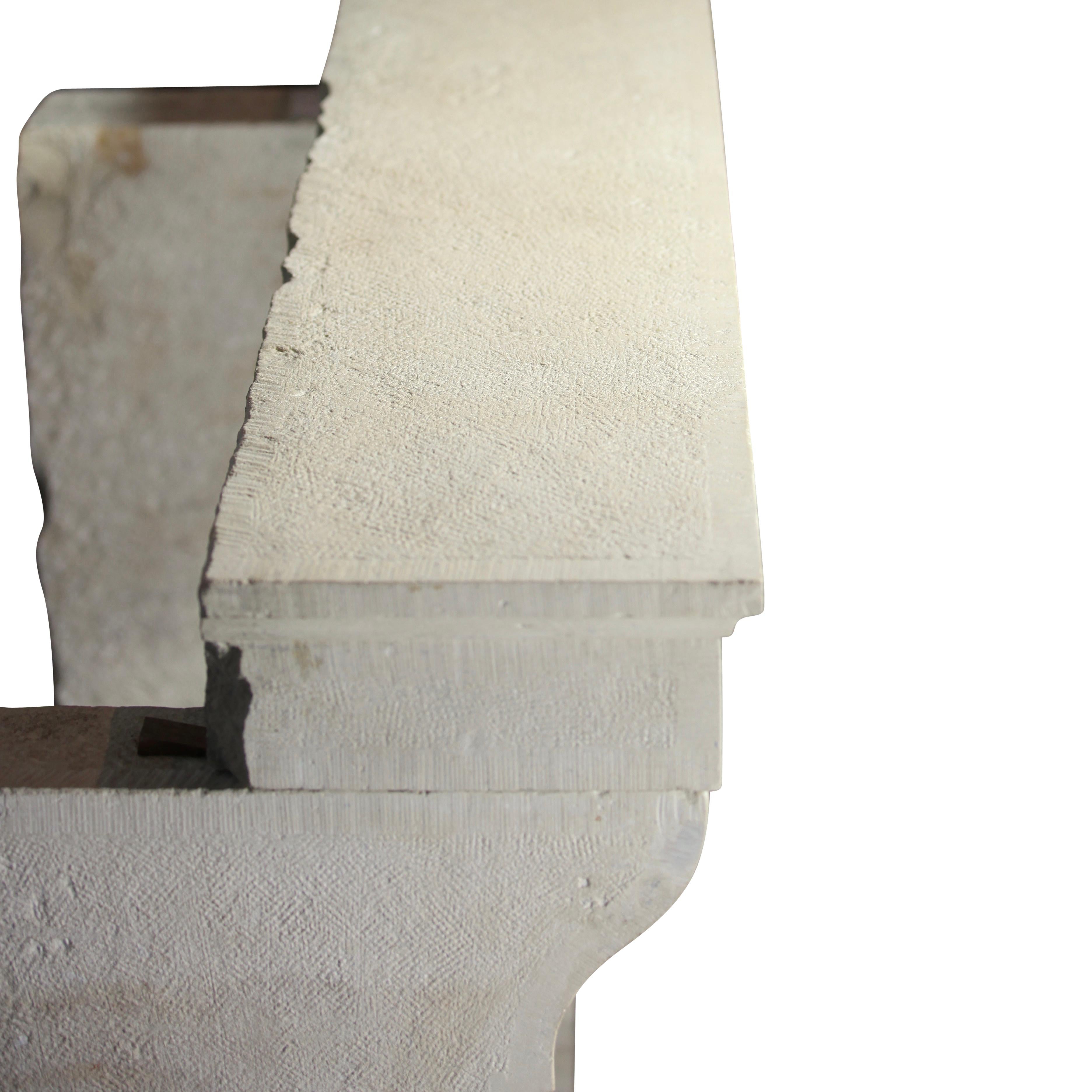 Revestimiento de chimenea francés provenzal de piedra blanca Luis XIII en venta 12