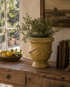 French Provincial Glazed Earthenware Planter