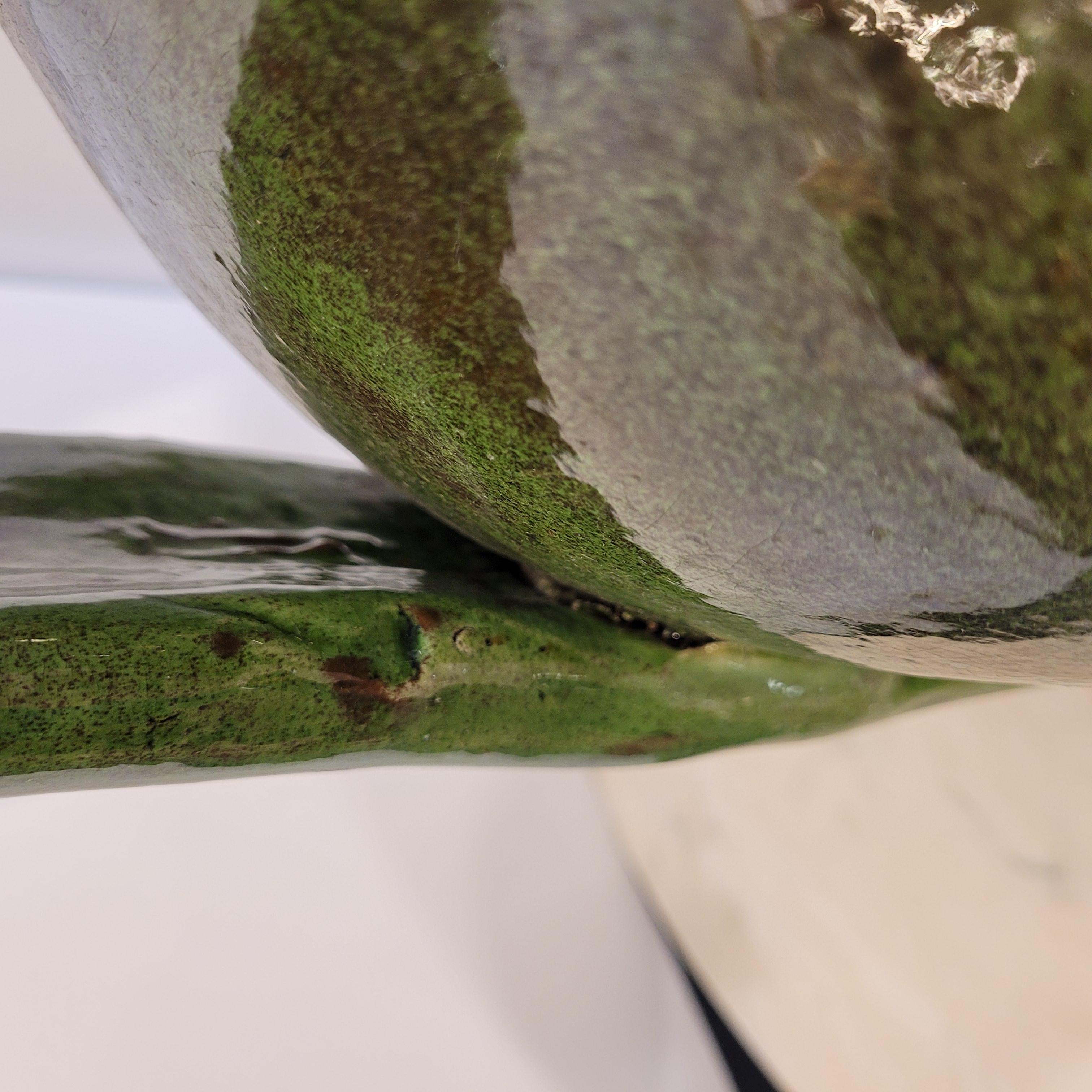Provincial francés  Tarro de cerámica esmaltada verde  del sur de Francia  Biot en venta 3