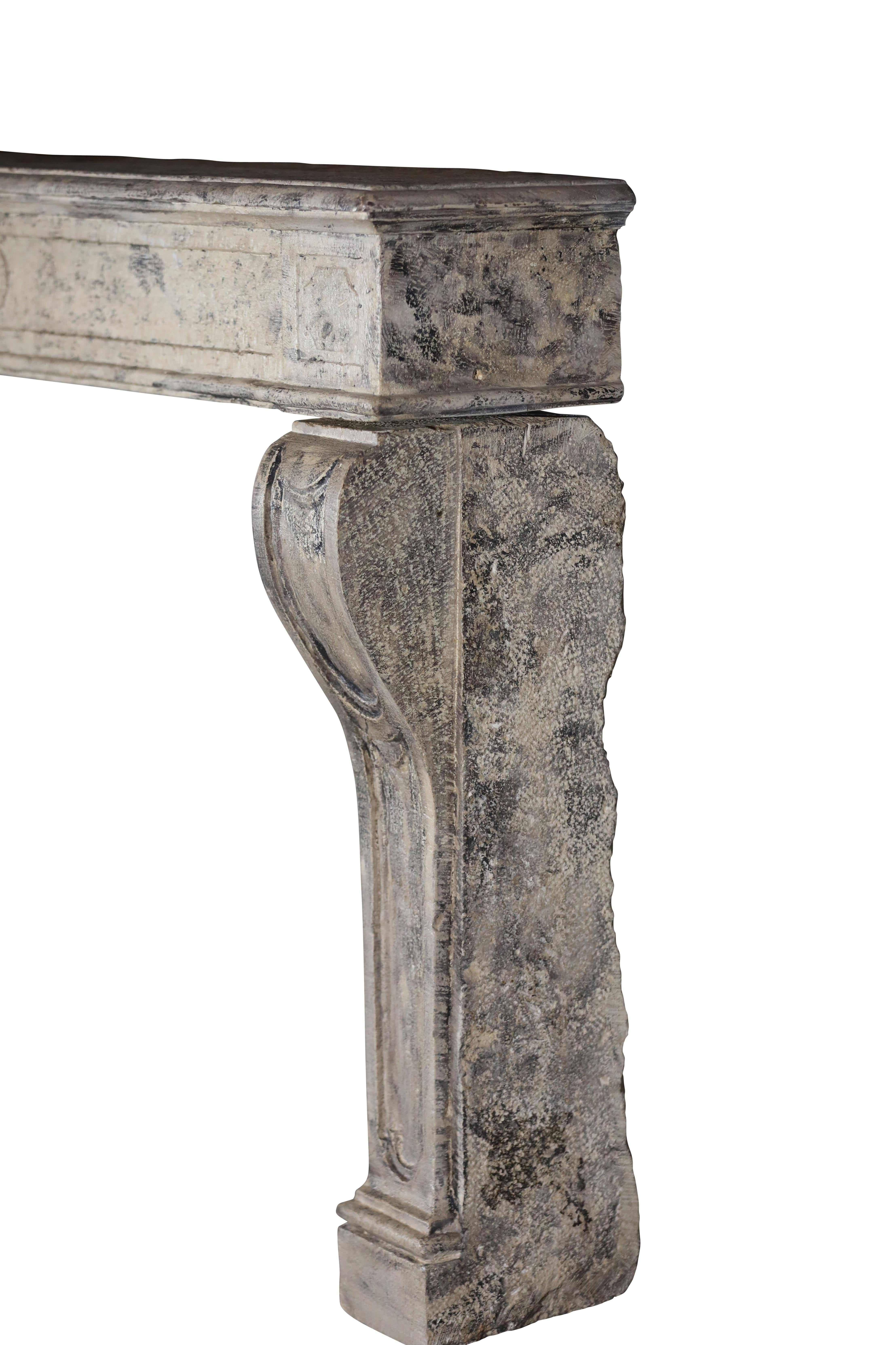 Cheminée provinciale française en pierre calcaire pour un décor Timeless en vente 2