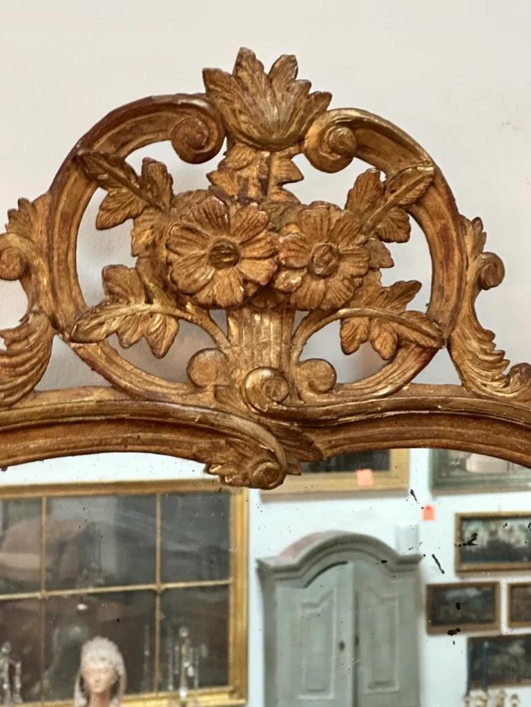 19th Century French Provincial Mirror with Floral and Foliate Carvings For Sale