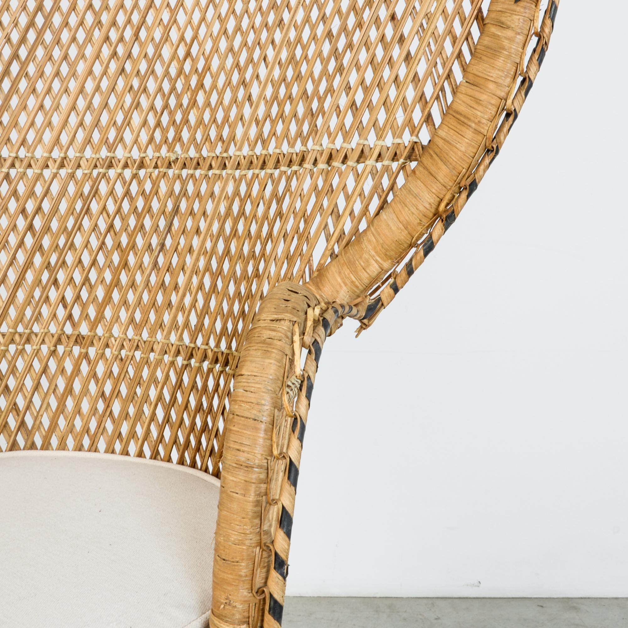 rattan peacock chair