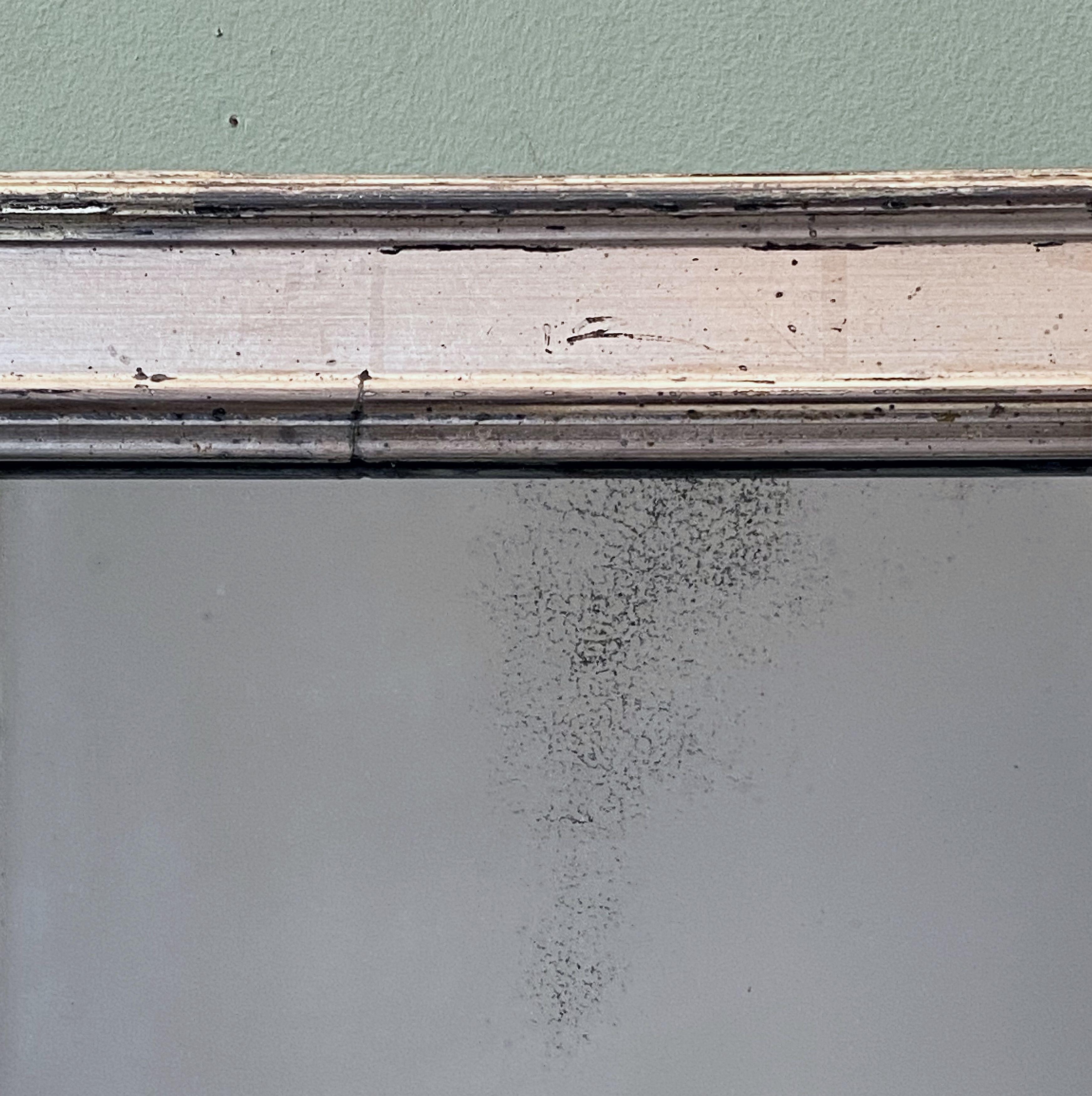 Glass French Rectangular Silver Gilt Wall Mirror (H 19 1/2 x W 12 1/4)