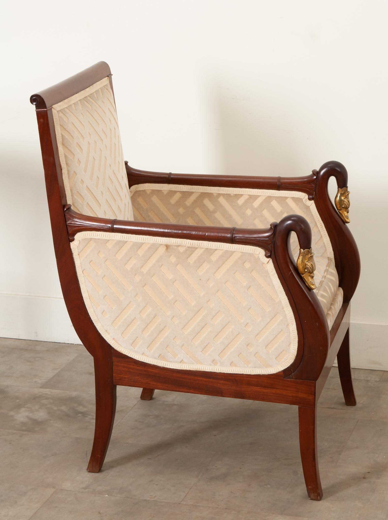 This restoration single bergere is made of solid mahogany and is sturdy. The chair has a squared off  back with detailed arms ending in gilt swans. This interesting antique chair has gently worn cut velvet upholstery with a coordinating tape trim.