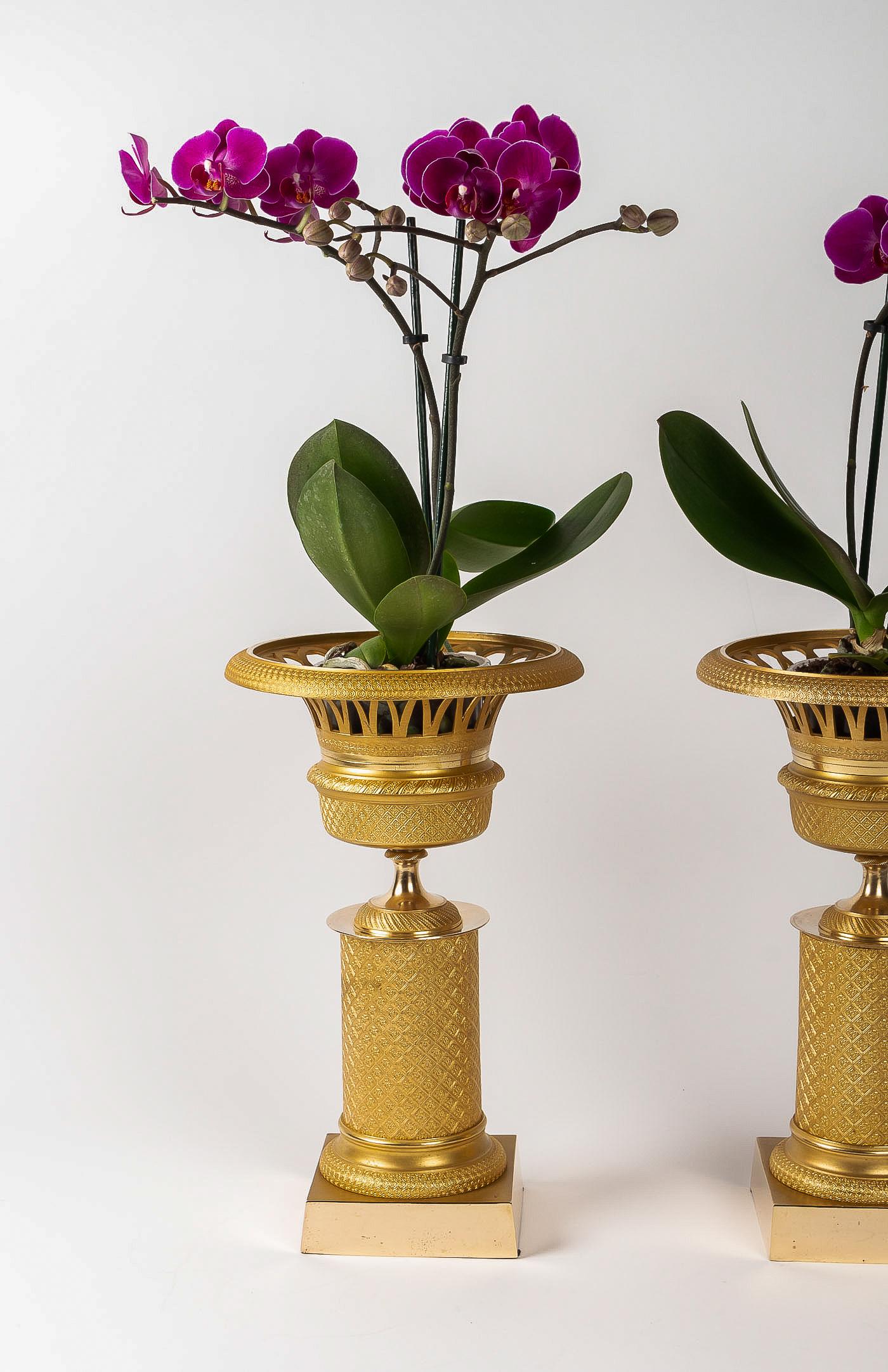French Restoration Period Pair of Gilt-Bronze Cups, circa 1815-1830 6