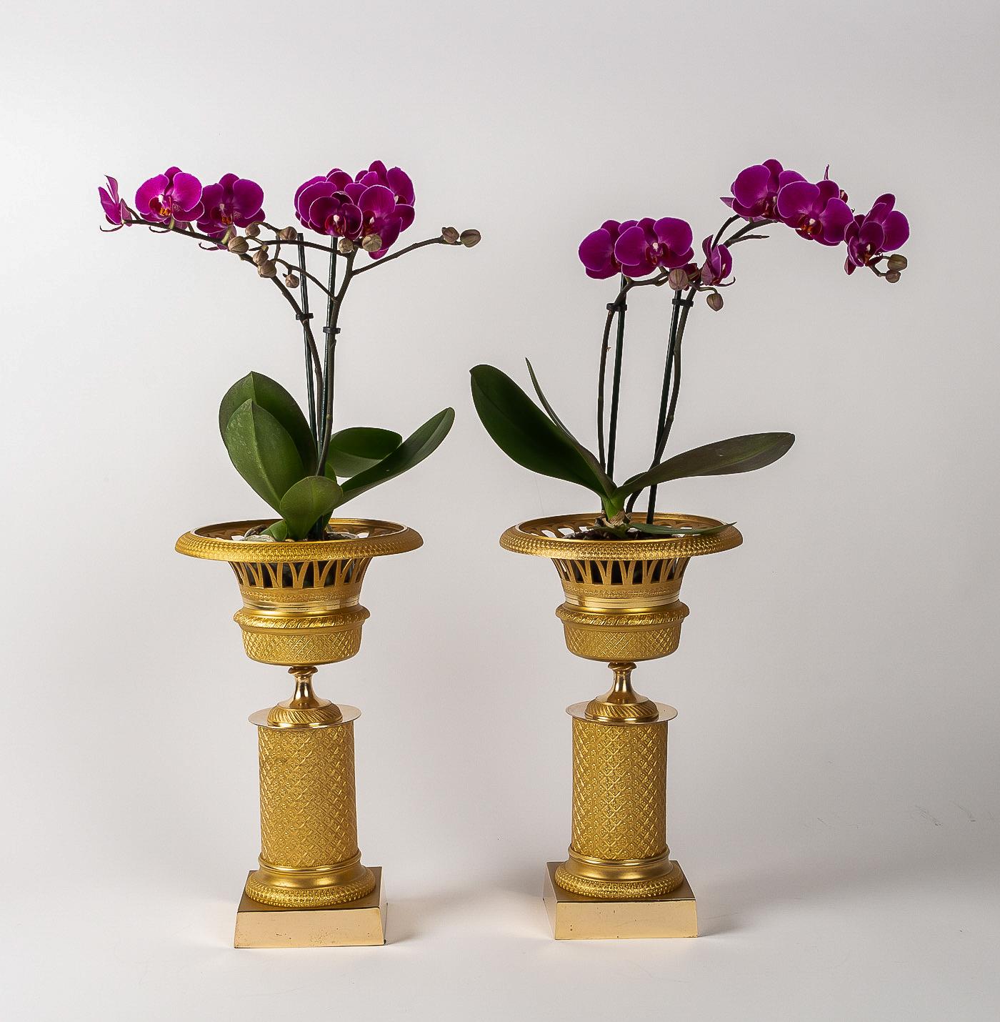 French Restoration period pair of gilt bronze cups, circa 1815-1830

Elegant pair of gilt bronze cups, finely chiseled of lattice, small flowers, and openwork foliage.
The set rests on a beautiful chiseled circular gilt bronze bases.

Lovely French