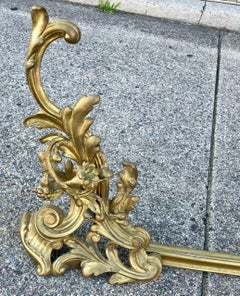 French Rococo Floral & Swirl Pattern Chenets & Fender 3 pcs Set