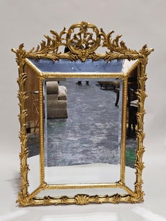 French Rococo Revival Giltwood Border Glass Mirror