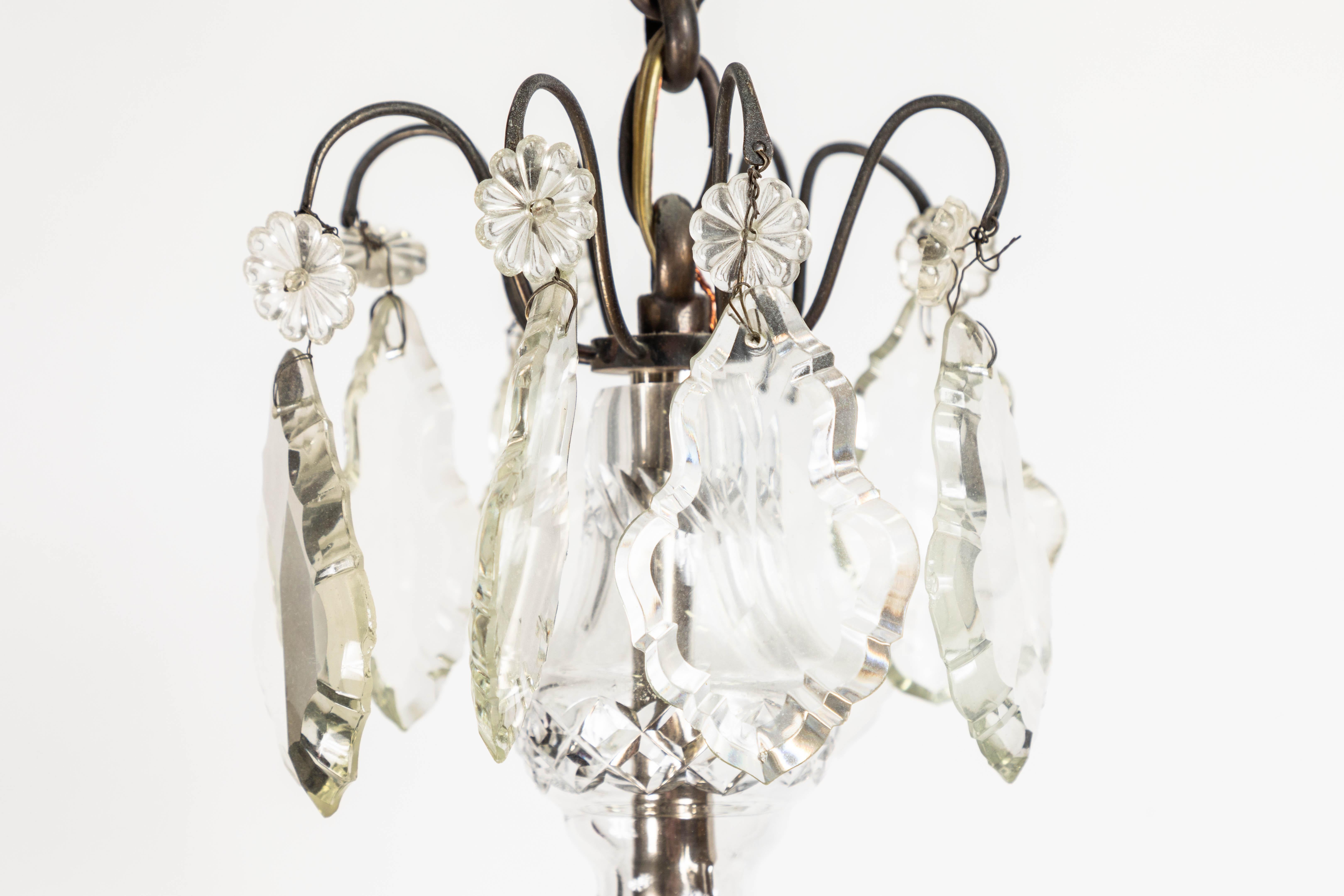 Lustre à 8 lumières en bronze de style rococo français du 19ème siècle avec des cristaux taillés à la main. Chaîne de 19
