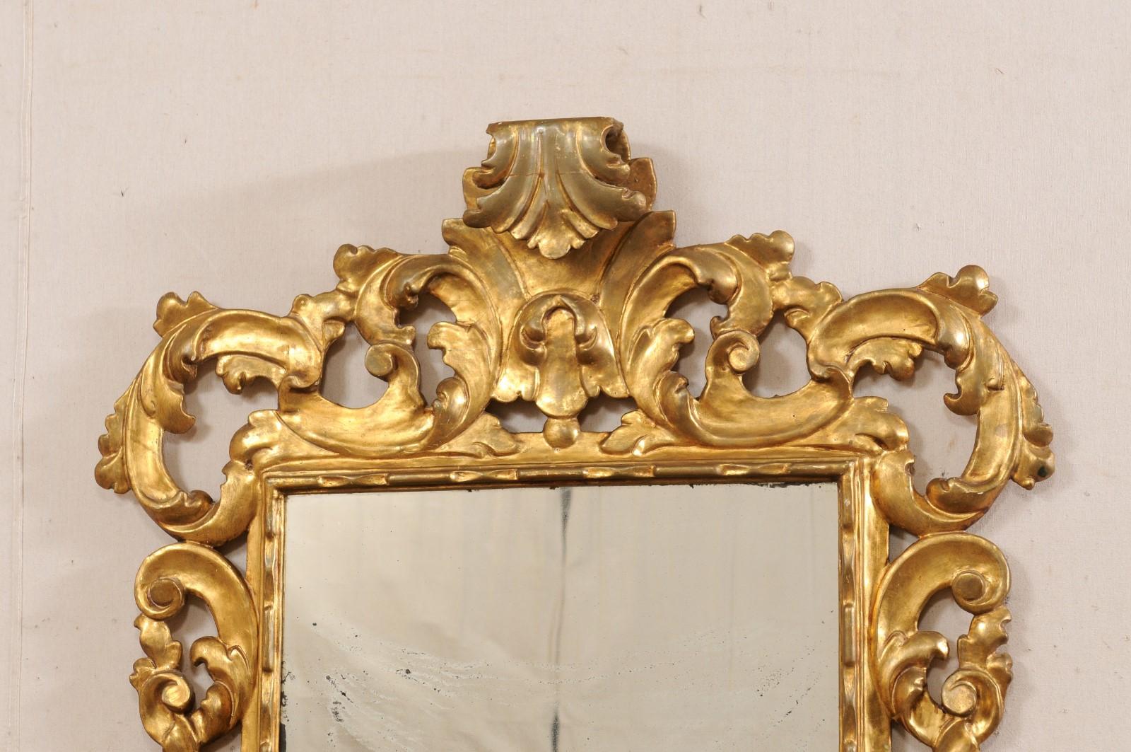 19th Century French Rococo Style Carved & Gilt 4.75 Ft Tall Mirror, 19th C. For Sale