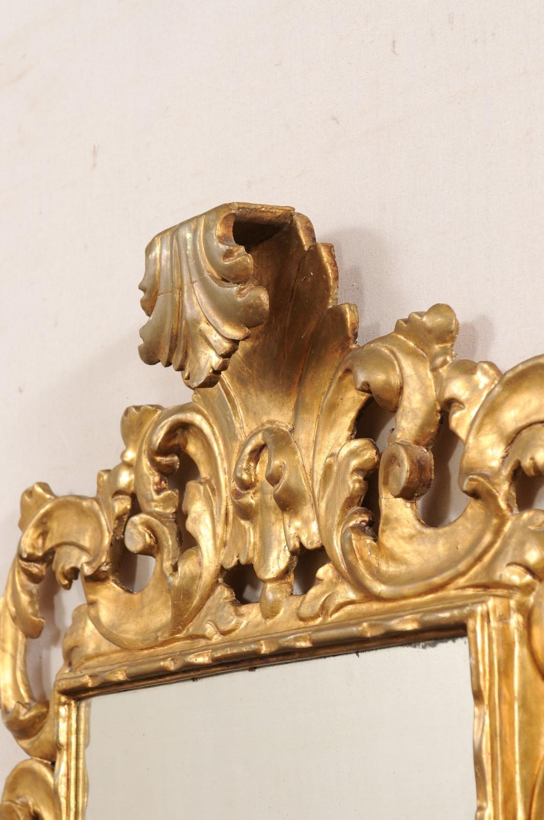 French Rococo Style Carved & Gilt 4.75 Ft Tall Mirror, 19th C. For Sale 1
