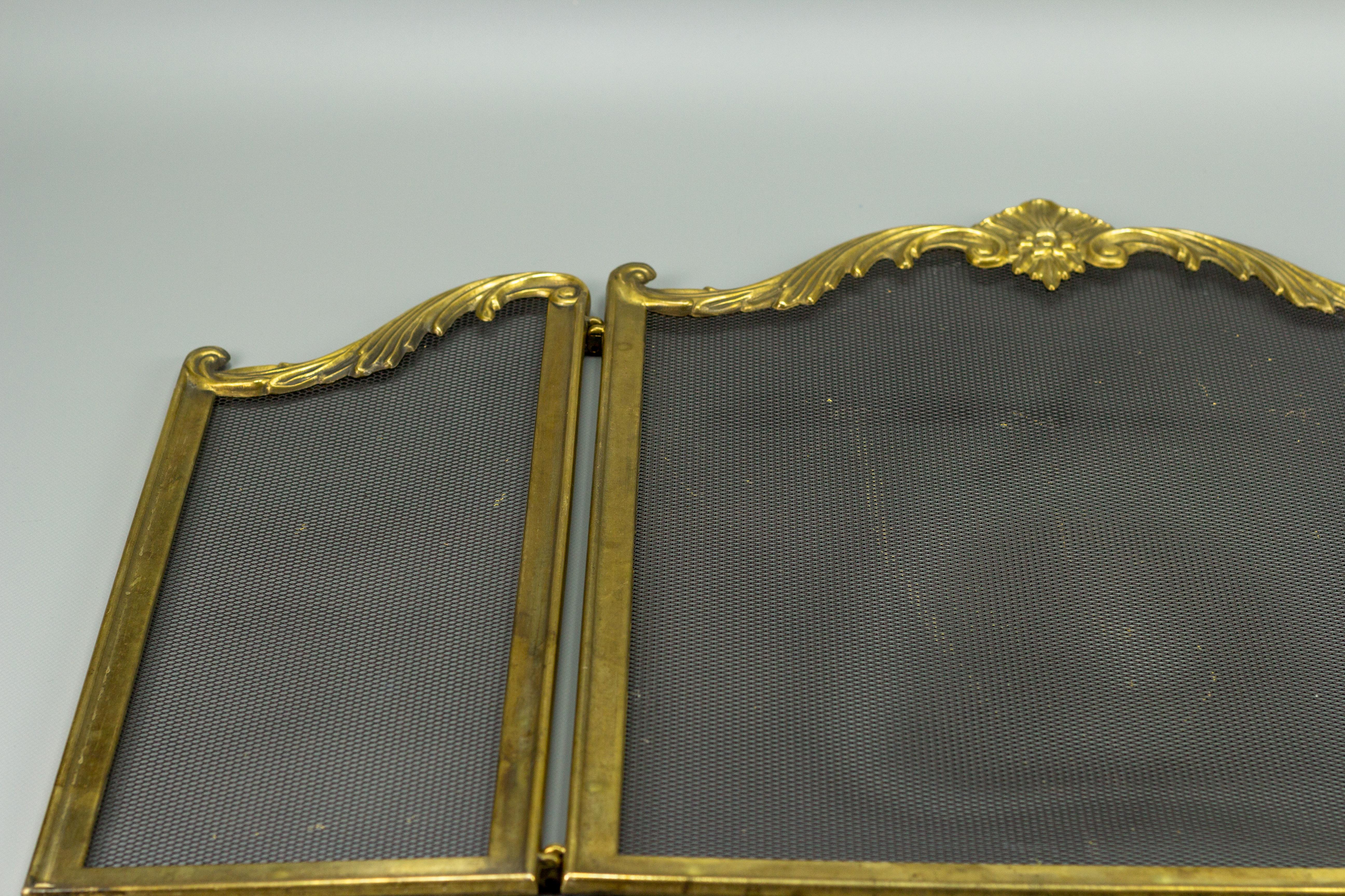 French Rococo Style Fireplace Screen or Fire Screen 12