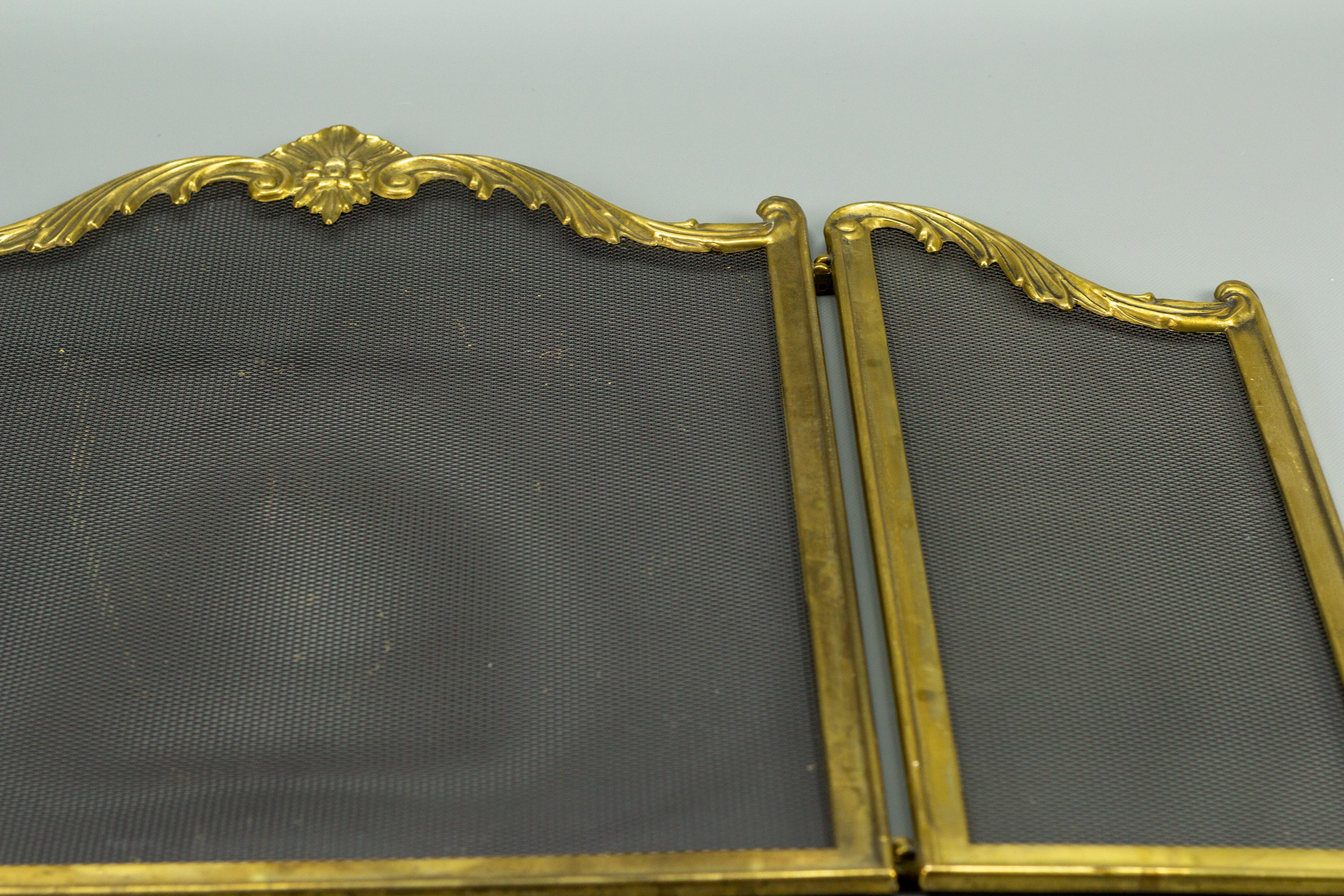 French Rococo Style Fireplace Screen or Fire Screen 13